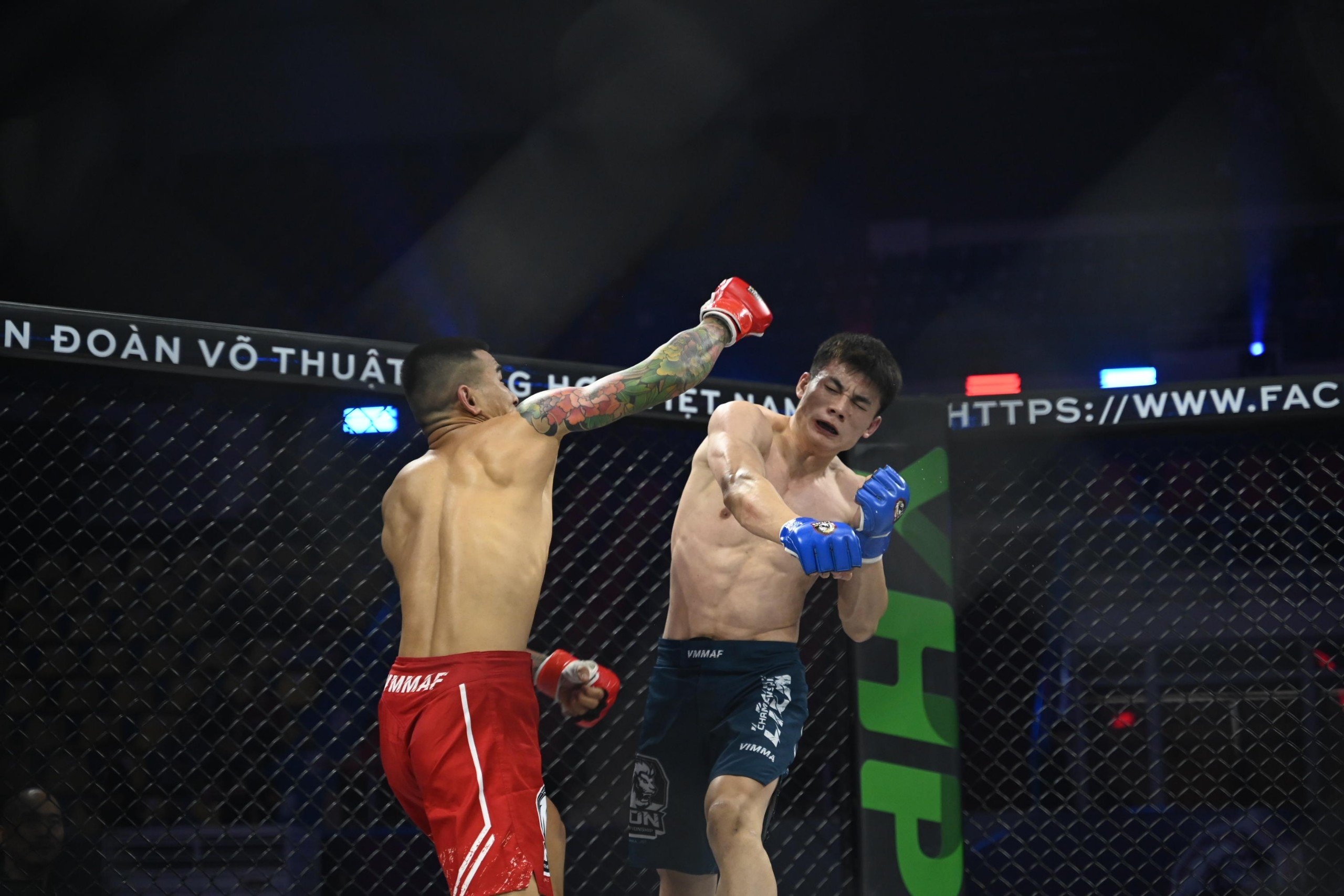 LION Championship 11 anh 13