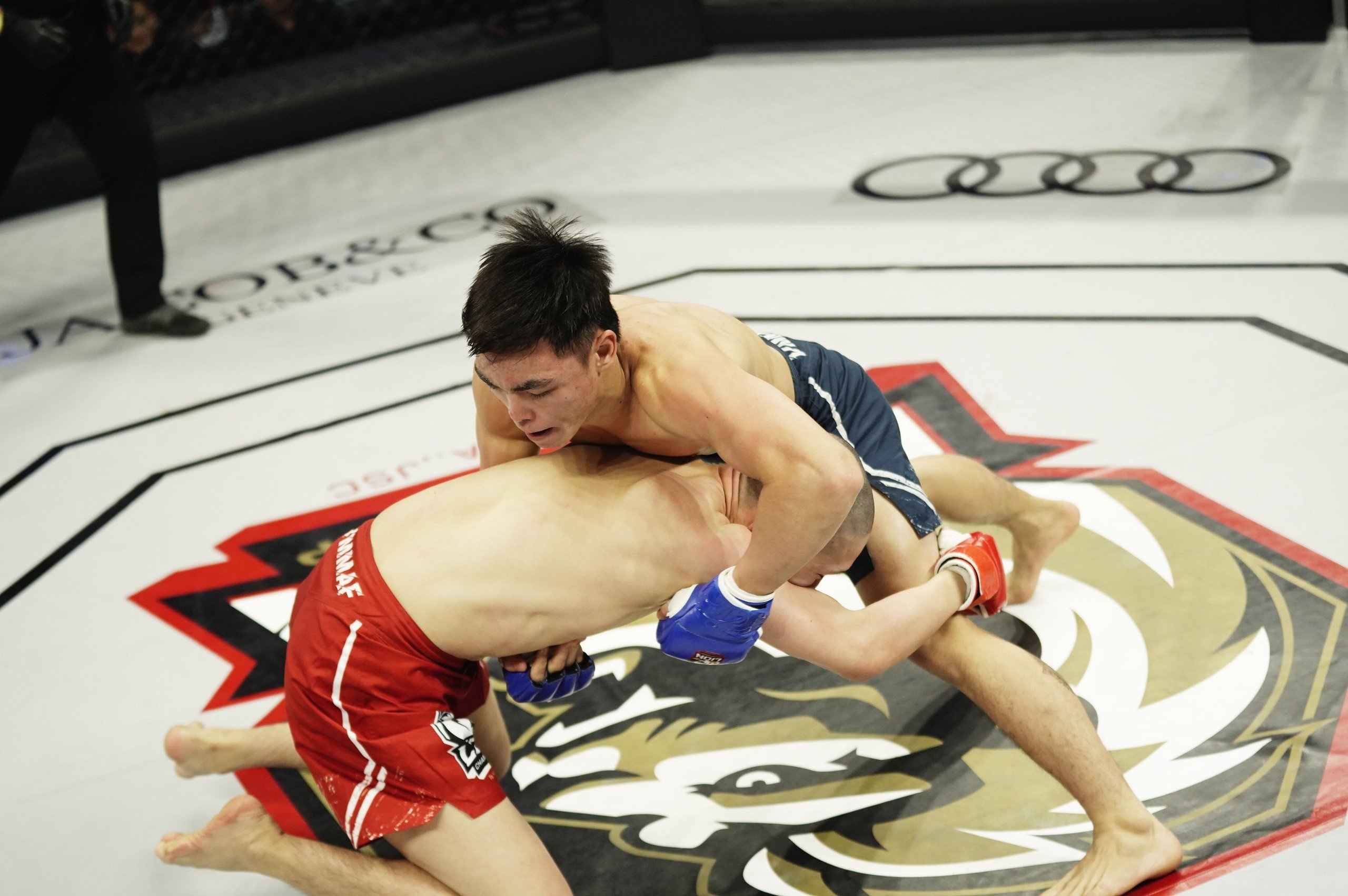 LION Championship 11 anh 16