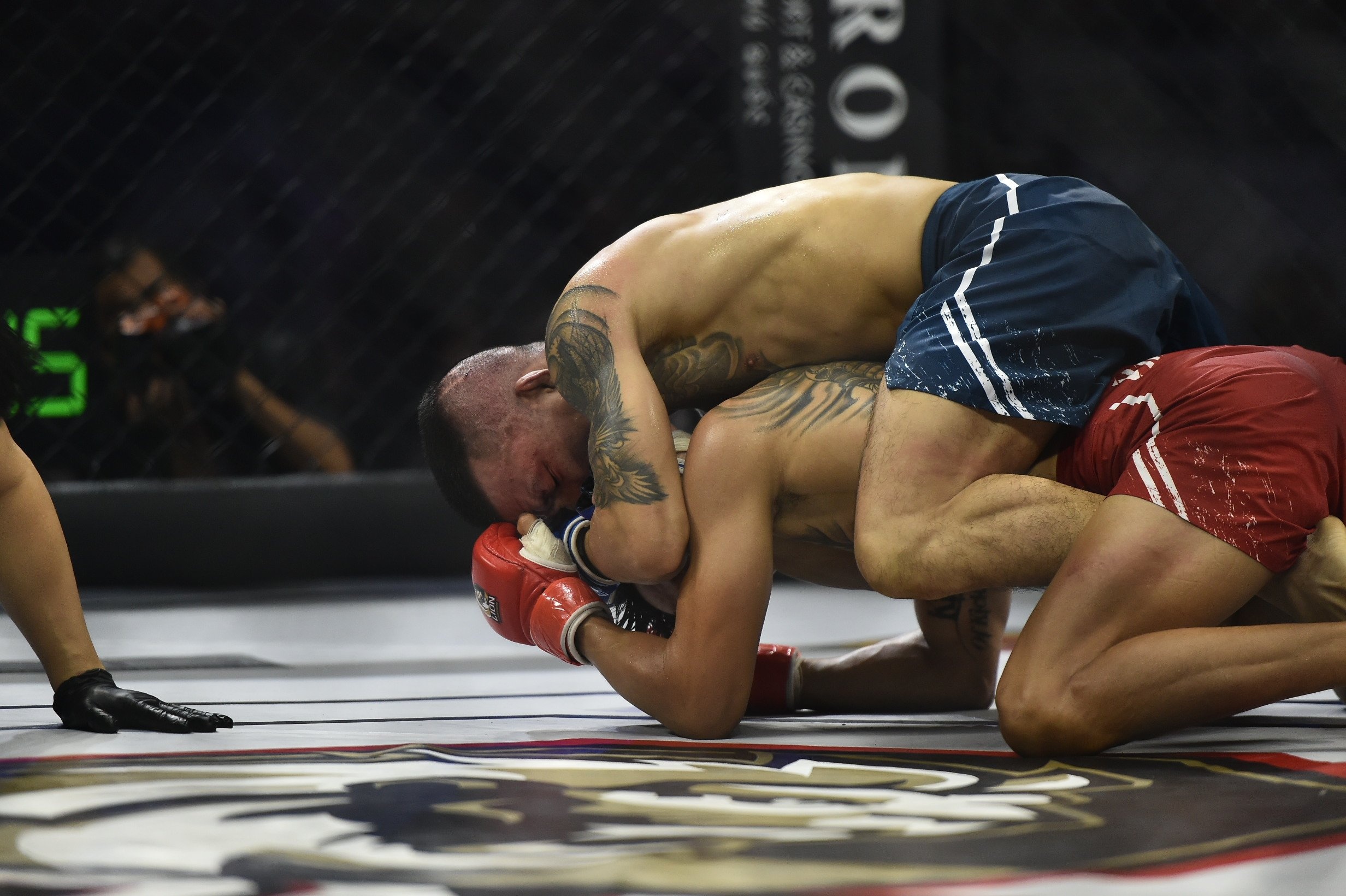 LION Championship 11 anh 17