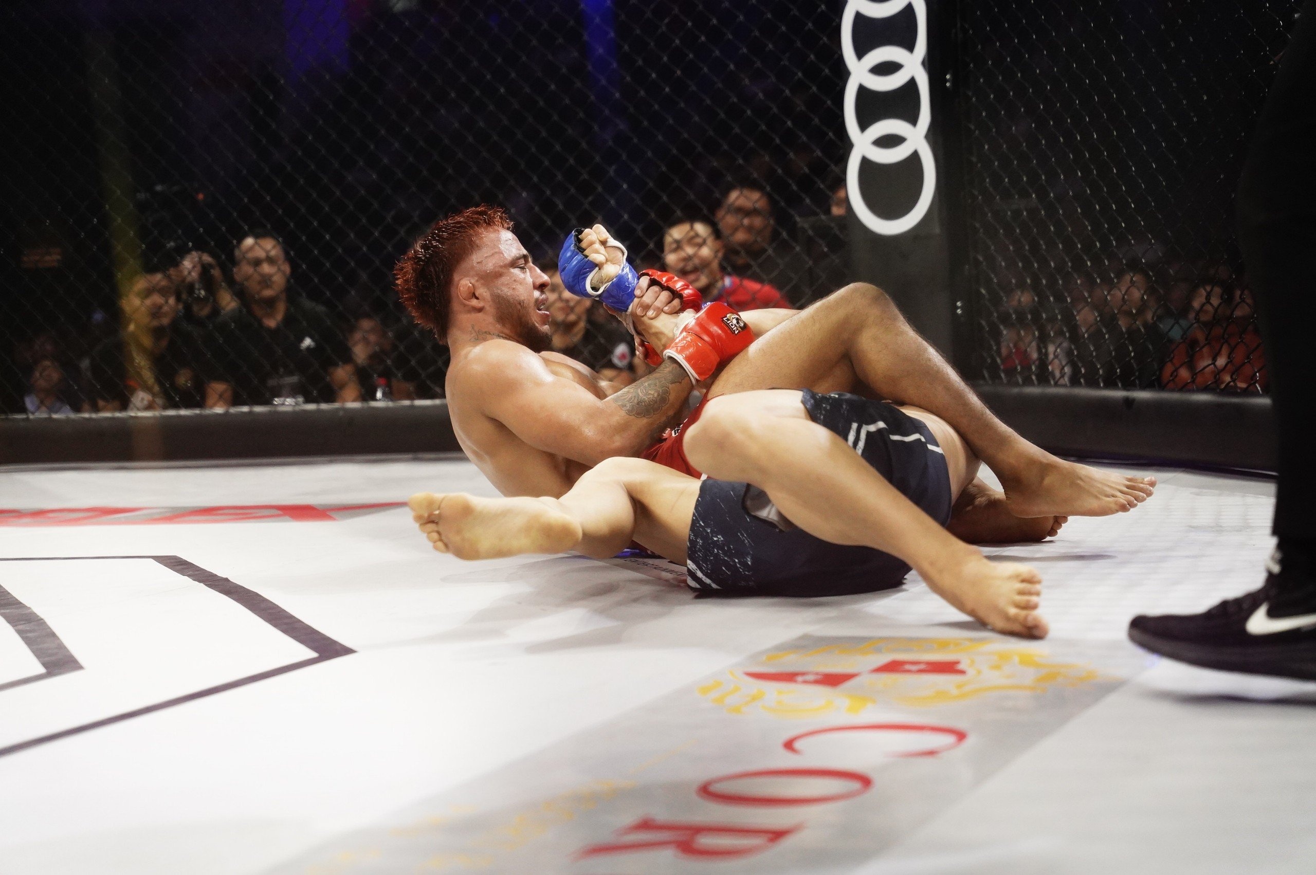 LION Championship 11 anh 3