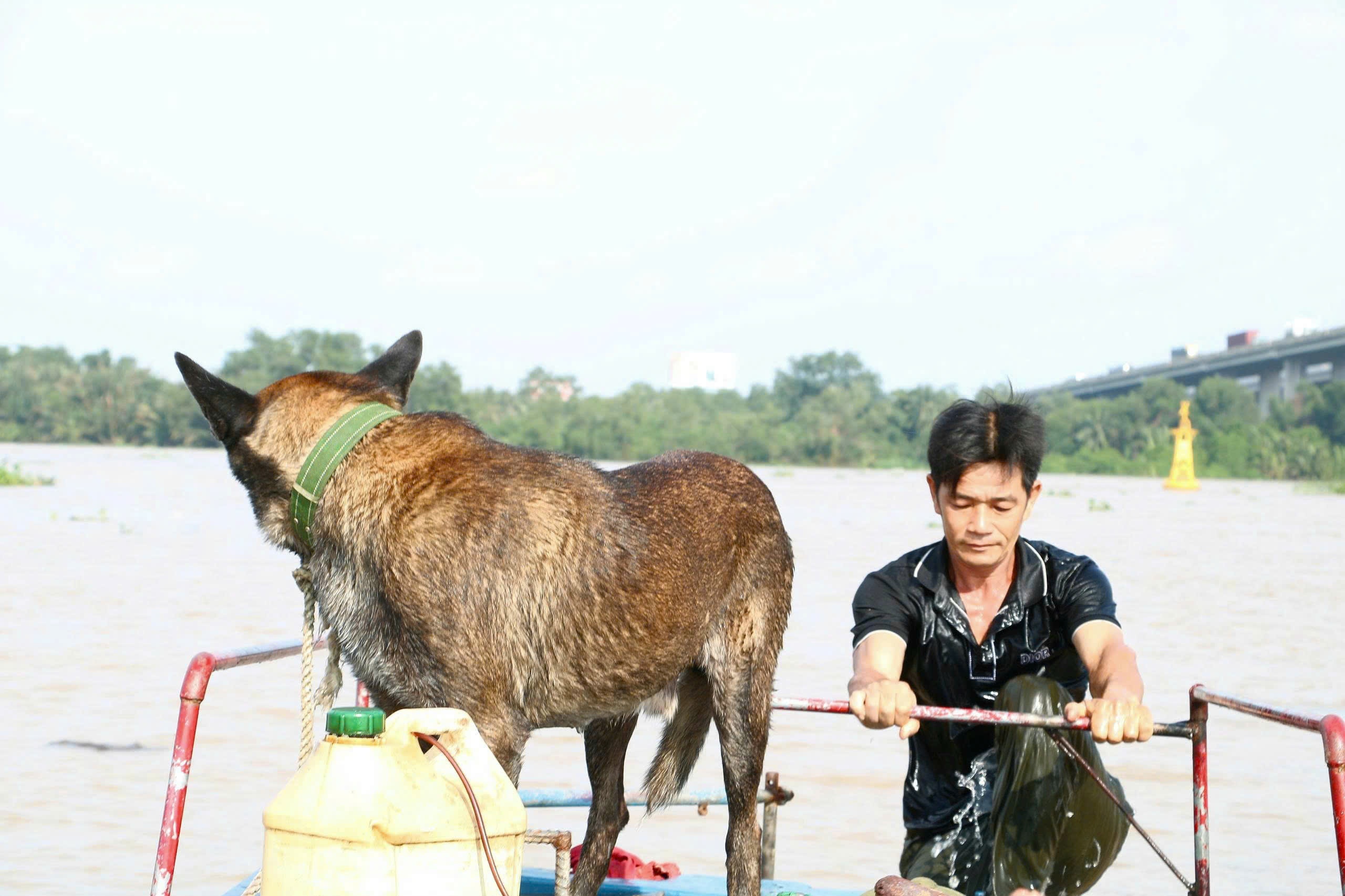 TPHCM ảnh 2