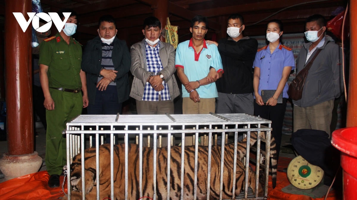 Giet ho 220 kg nau cao tai nha anh 1