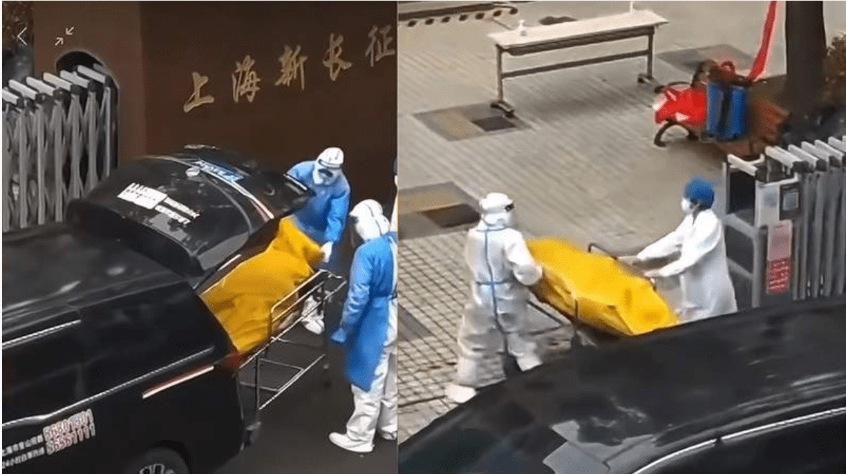 Trai duong lao anh 1