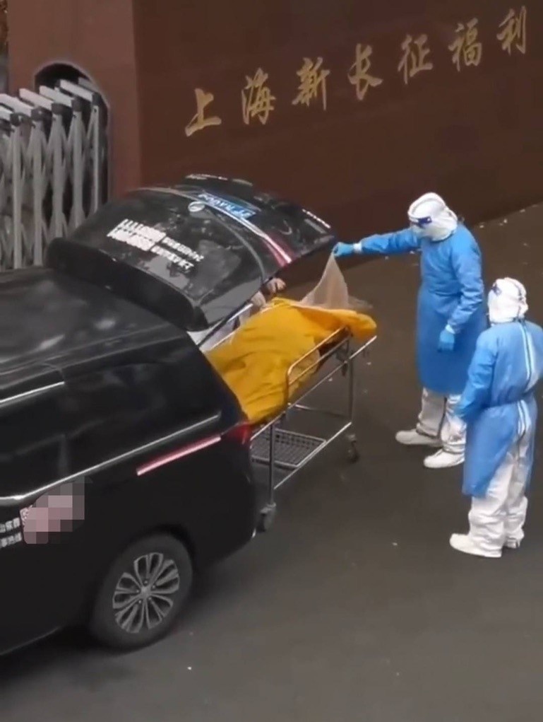 Trai duong lao anh 2