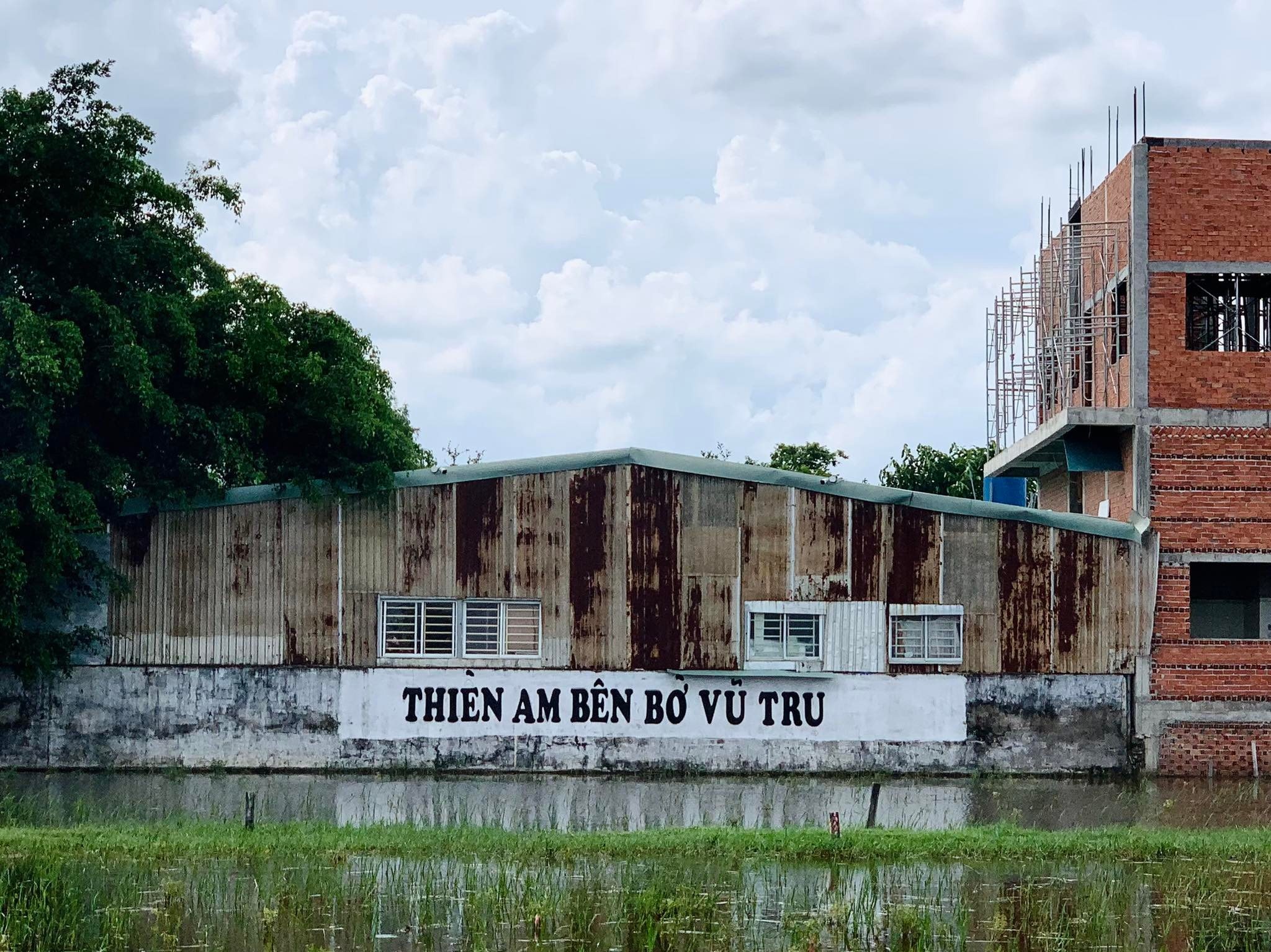 5 luat su bao chua nhom Tinh that Bong Lai kien nghi hoan phien toa hinh anh