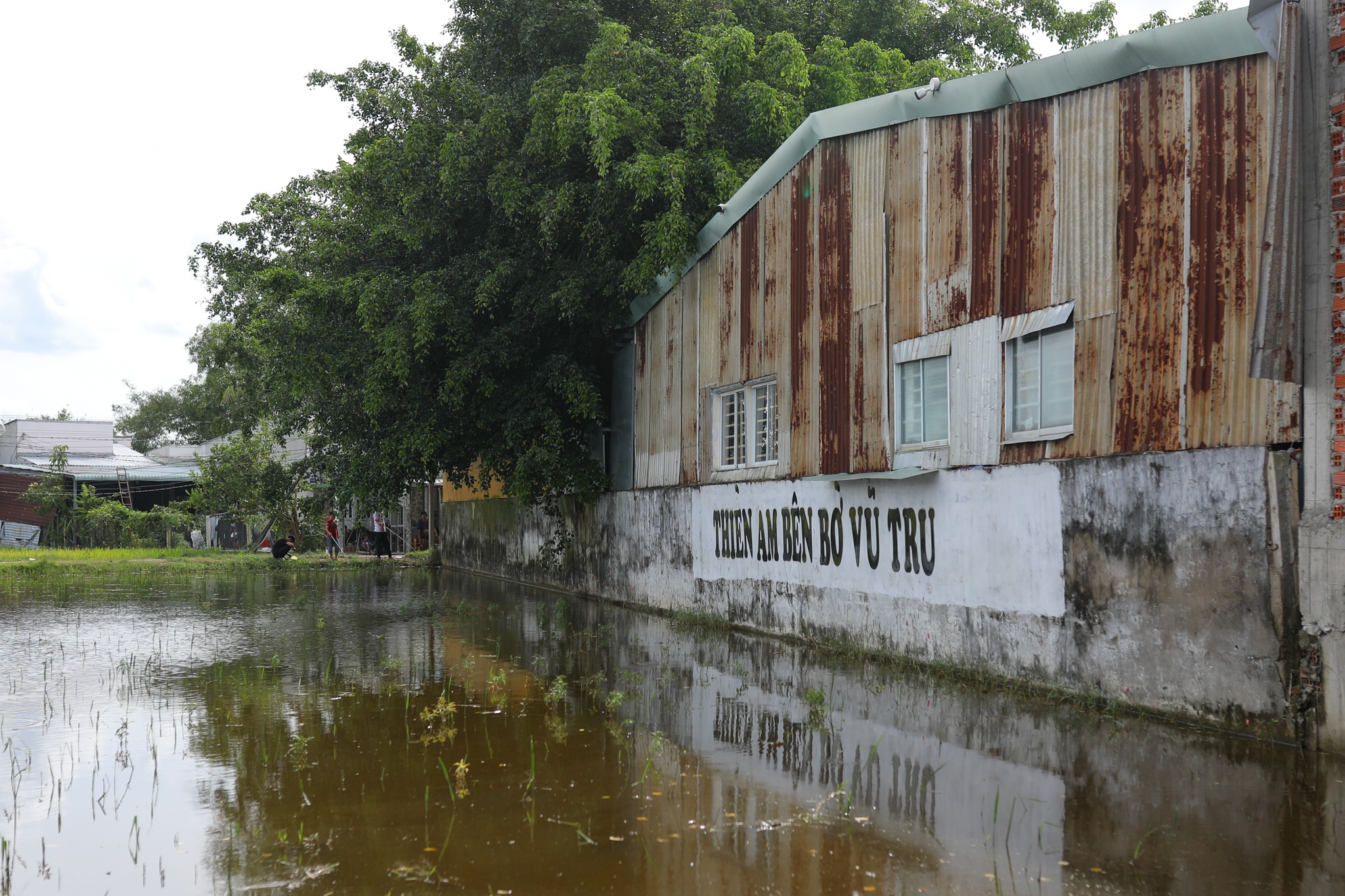 Tinh that Bong Lai anh 2