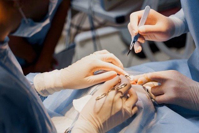 Sap xet xu bac si nang nguc 'chui' khien nguoi phu nu tu vong hinh anh