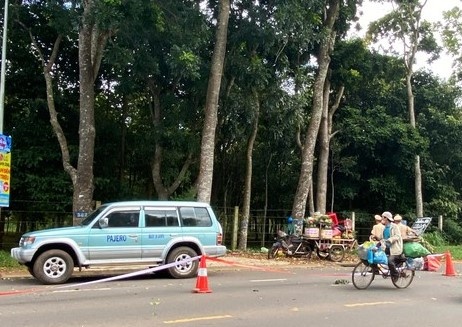 đâm tài xế tử vong,  TP Buôn Ma Thuột ảnh 1 dam tai xe tu vong,  TP Buon Ma Thuot anh 1