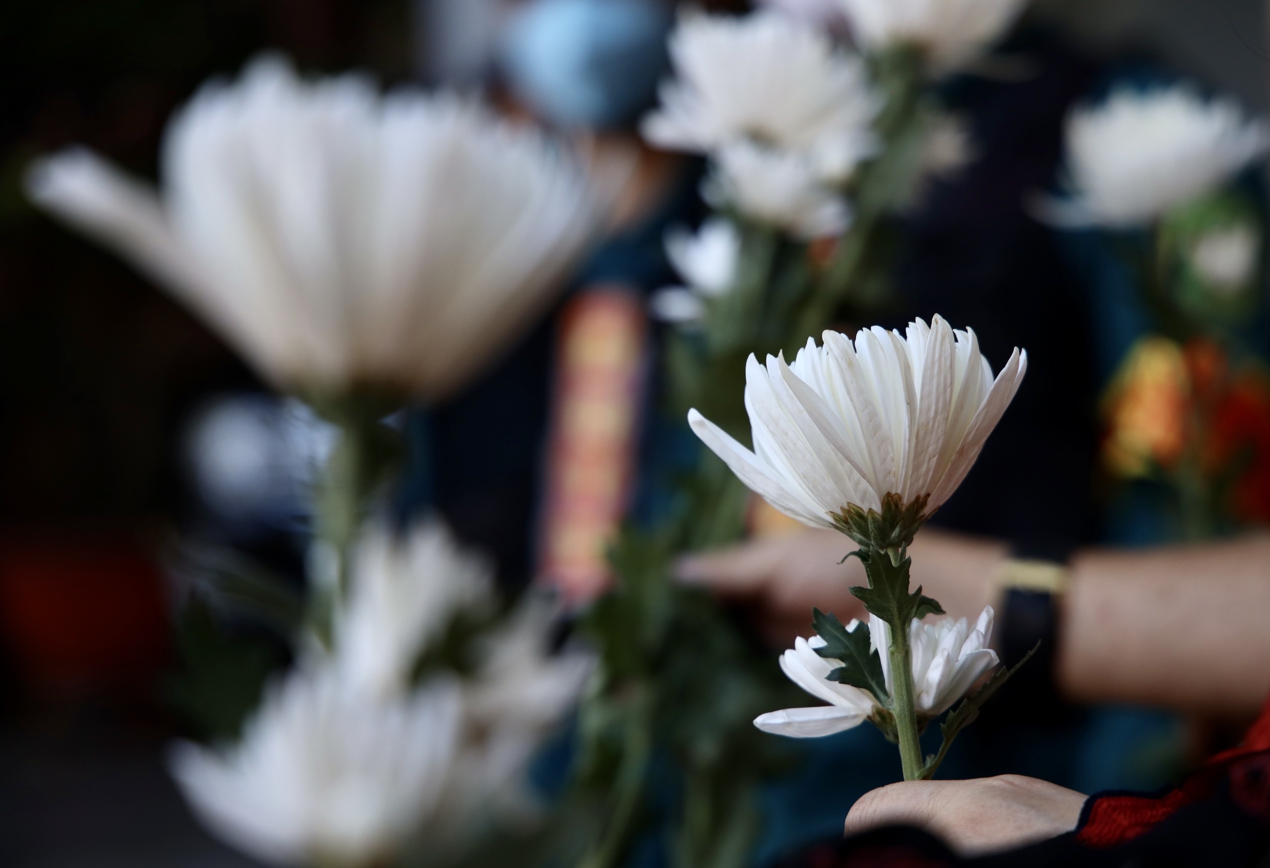 bao hanh be 8 tuoi anh 7