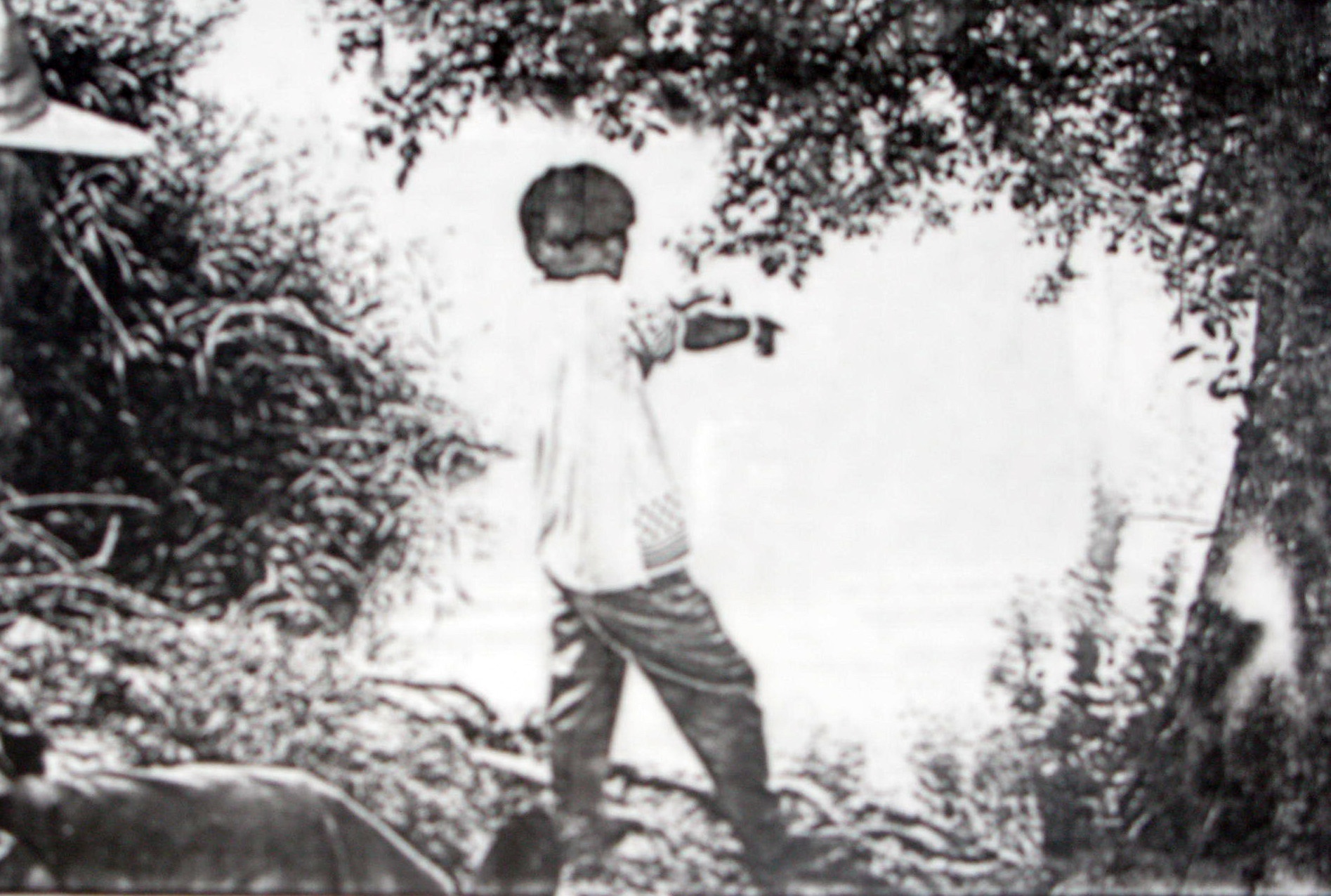 pham nhan vuot nguc anh 2