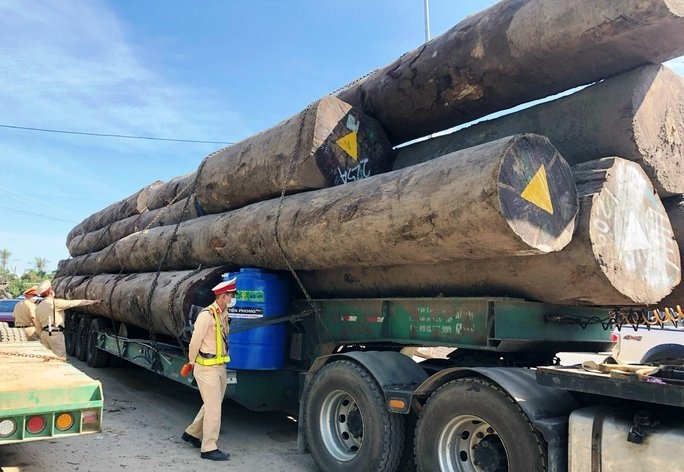 Tam giu oto dau keo cho go lim co dau hieu qua tai hinh anh