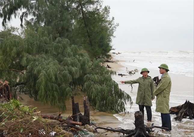 Quang Binh: Bien xam thuc nghiem trong hinh anh