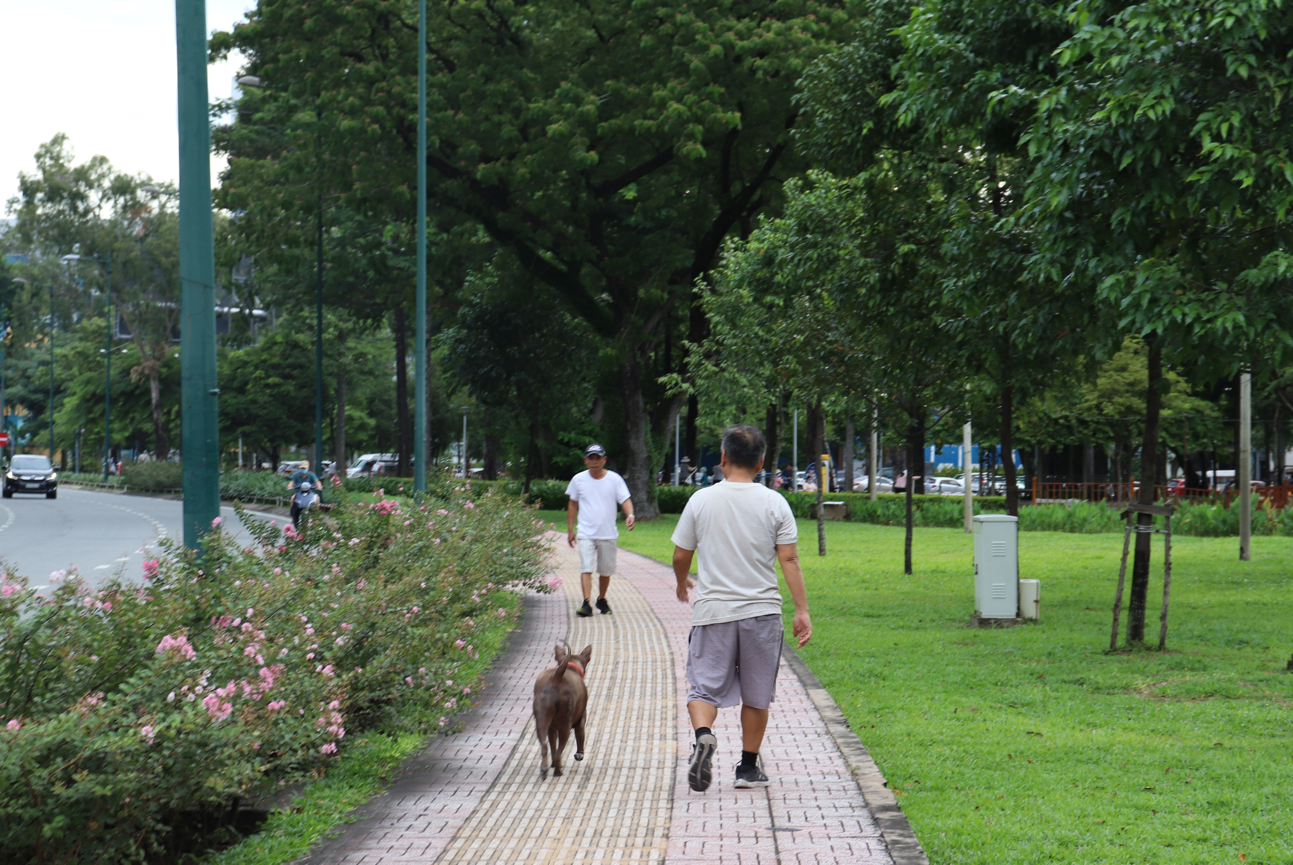 suyt chet vi cho anh 5