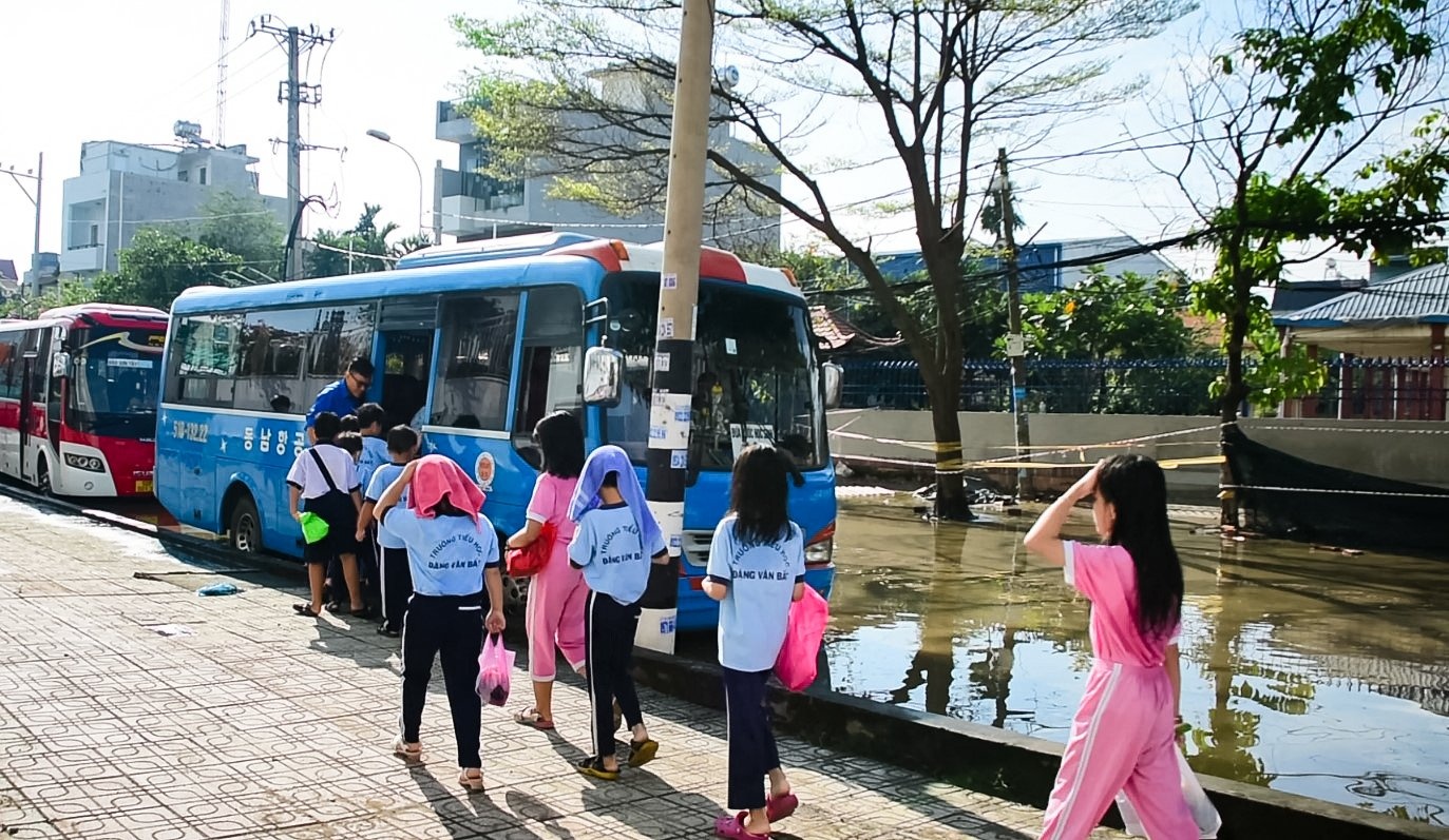 vo bao gay ngap anh 4