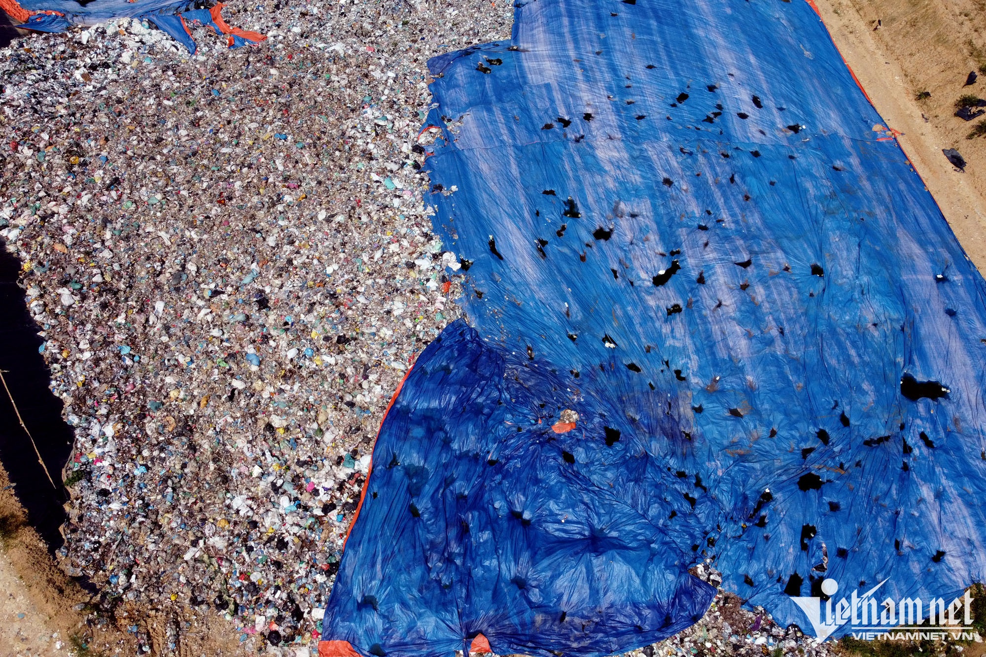 nghin tan rac giua rung anh 2