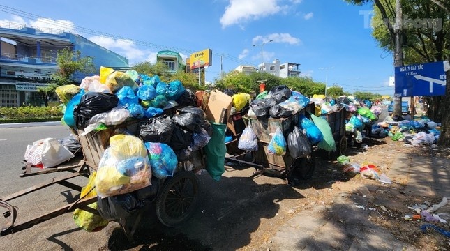 Can Tho hop khan xu ly 7.000 tan rac thai sap un u hinh anh