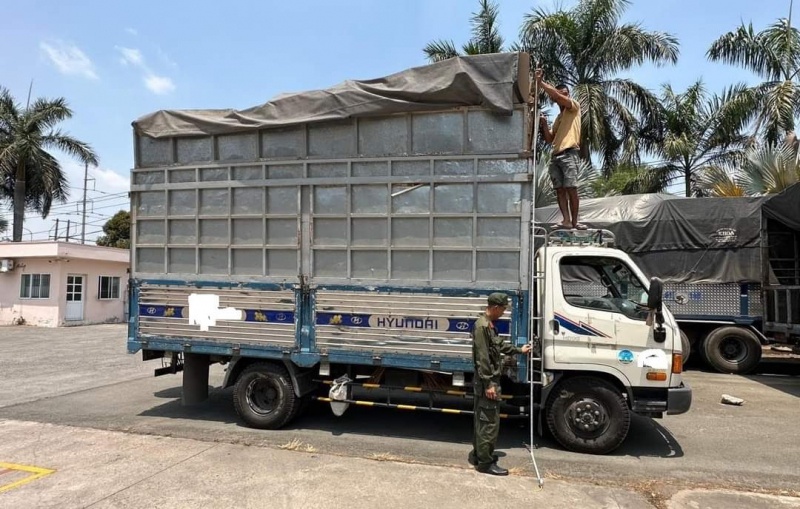 tranh canh sat giao thong anh 2