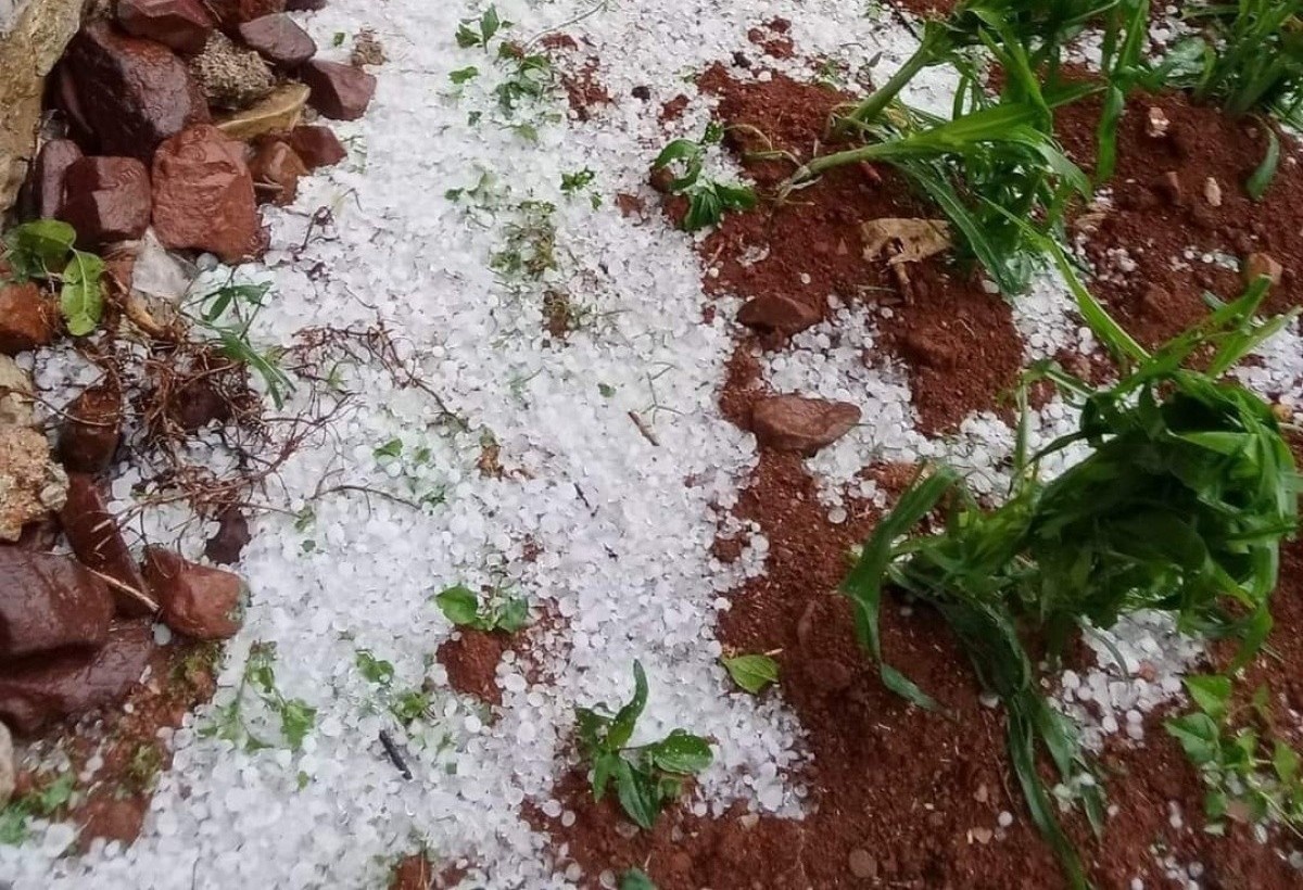 Mua da dien rong o Cao Bang gay thiet hai nhieu tai san, cay trong hinh anh