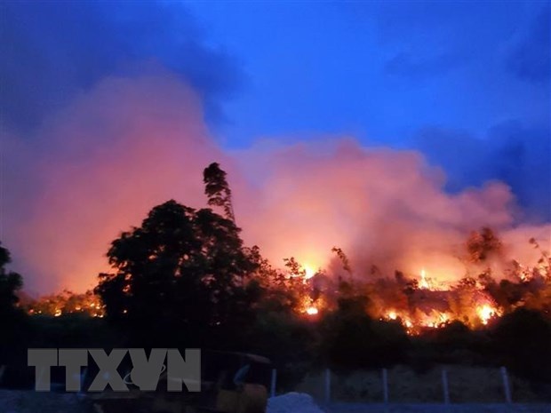 Thua Thien - Hue yeu cau tam dung dot thuc bi de phong chong chay rung hinh anh