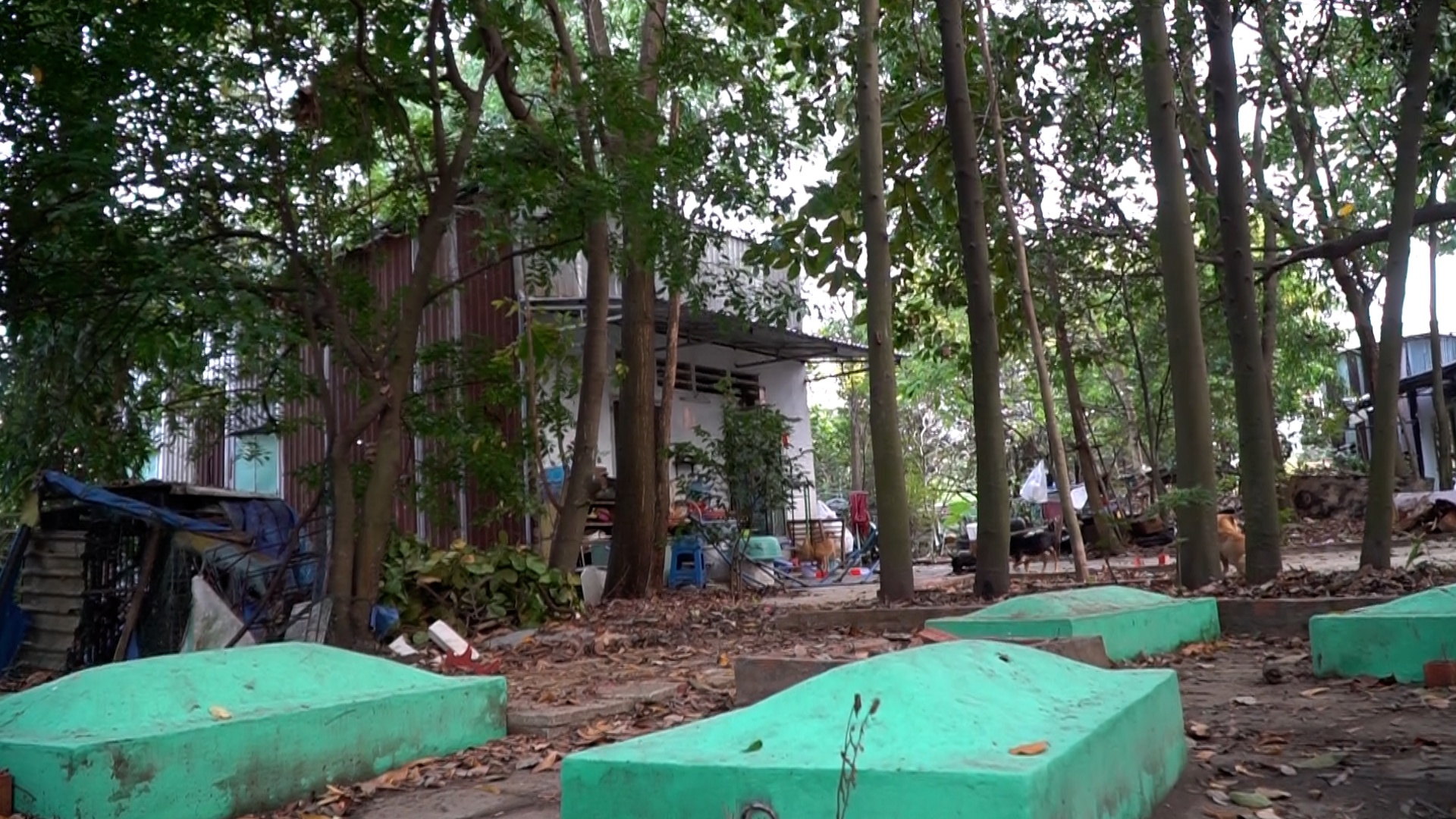 Hang tram ngoi mo giua khu dan cu o TP Thu Duc hinh anh