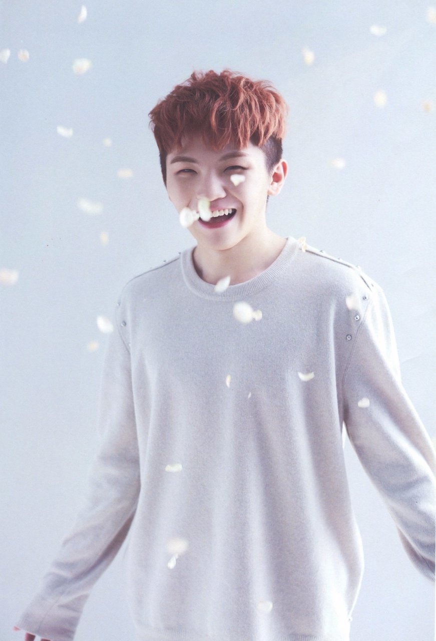 Woozi seventeen ảnh 11 Woozi seventeen anh 11