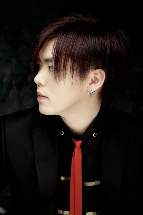 nghe si bi tay chay anh 4