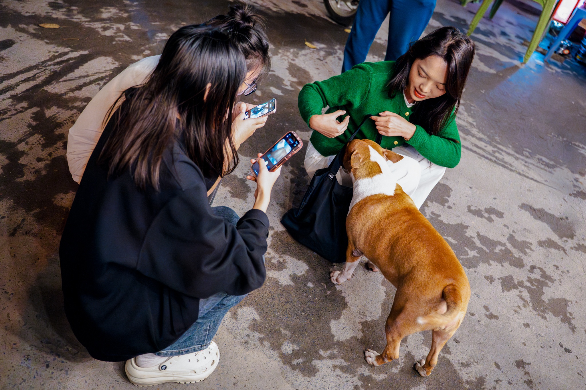 Tiem pho anh Hai,  Mr Gold,  Tam,  game anh 9