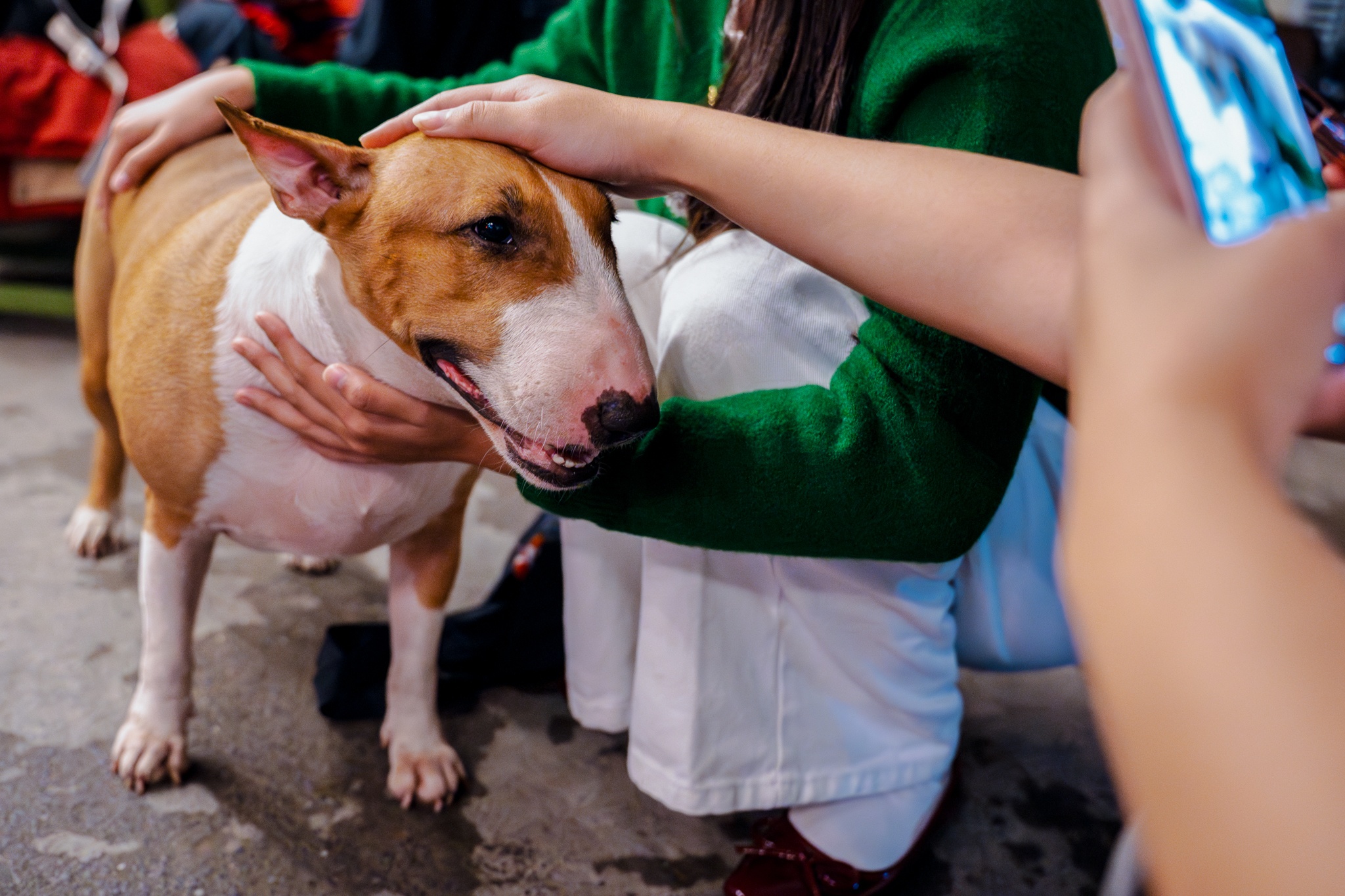 Tiem pho anh Hai,  Mr Gold,  Tam,  game anh 7