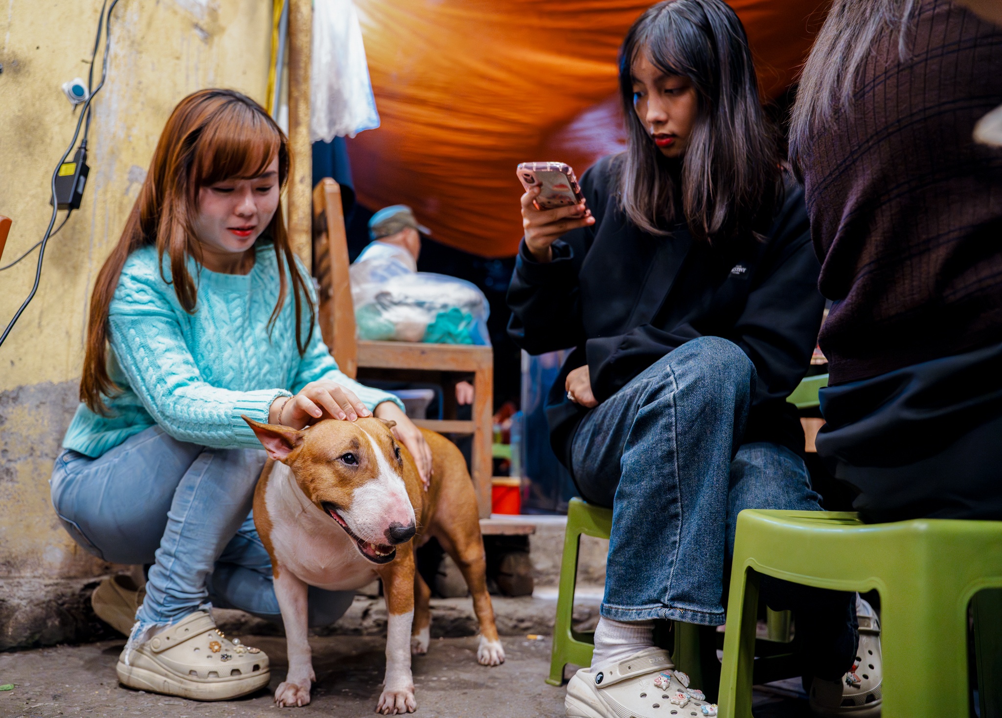 Tiệm phở anh Hai, Mr Gold, Tam, game ảnh 3 Tiem pho anh Hai, Mr Gold, Tam, game anh 3