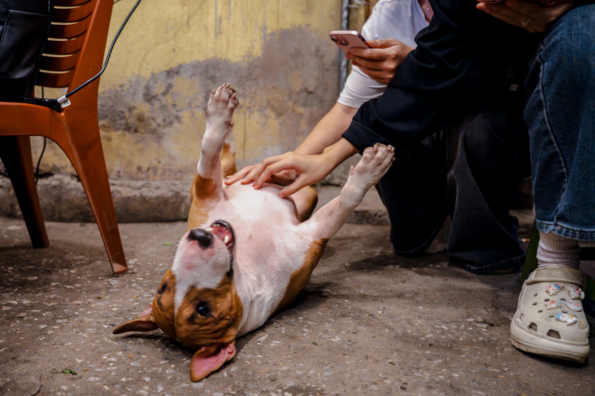 Tiệm phở anh Hai, Mr Gold, Tam, game ảnh 6 Tiem pho anh Hai, Mr Gold, Tam, game anh 6