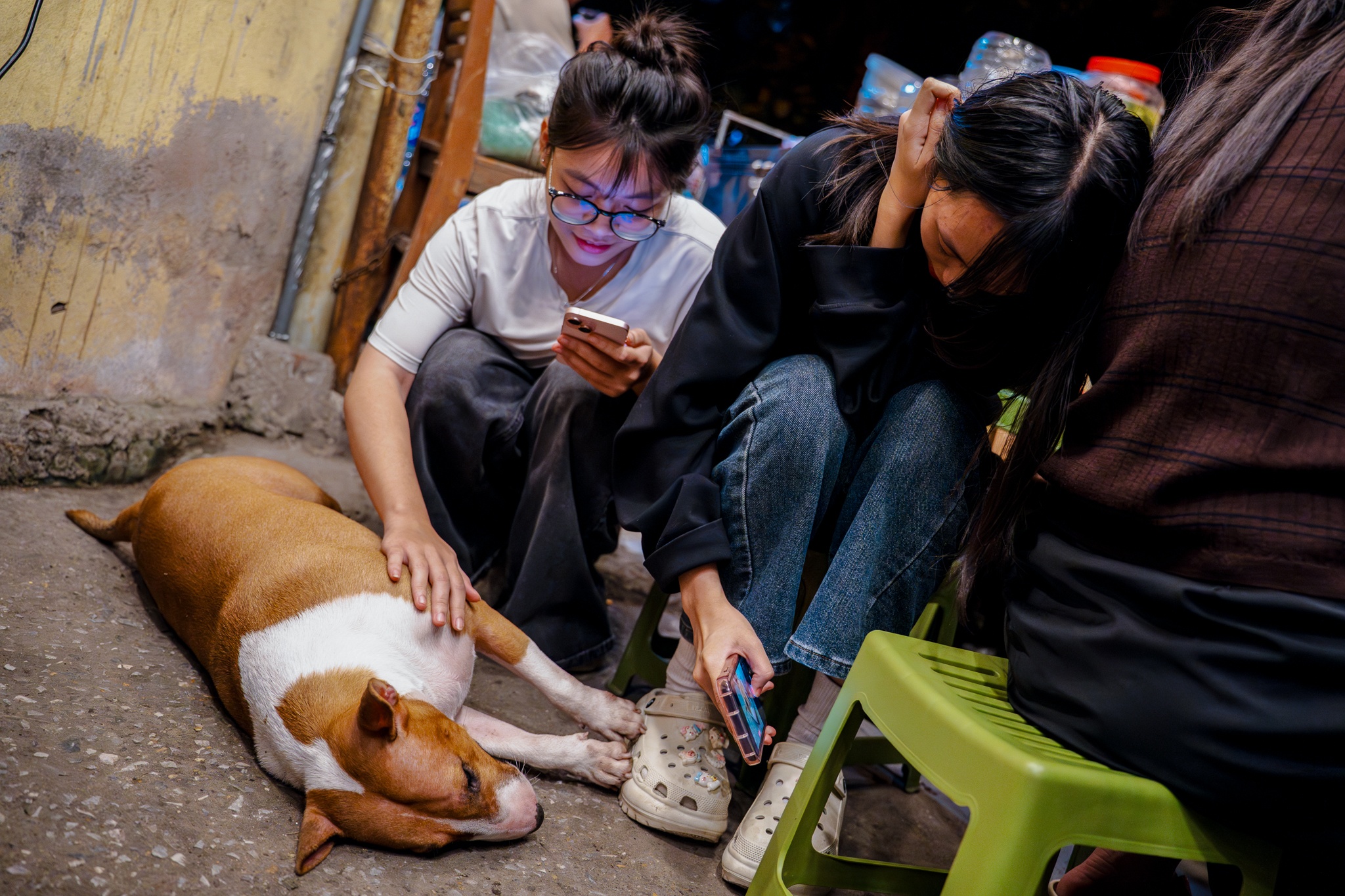 Tiem pho anh Hai,  Mr Gold,  Tam,  game anh 8