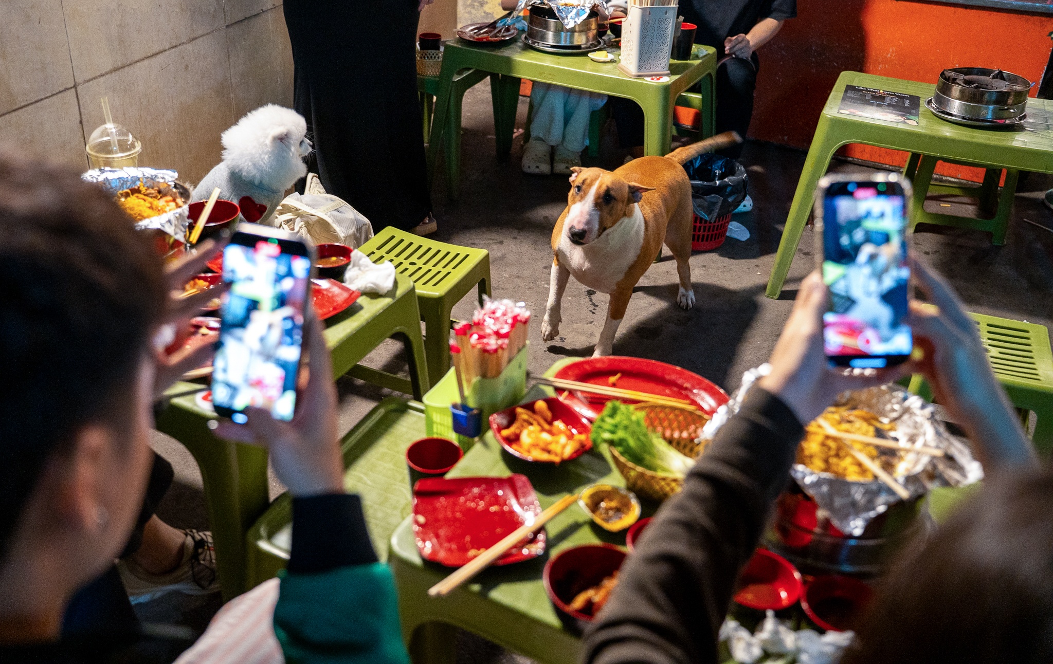 Tiem pho anh Hai,  Mr Gold,  Tam,  game anh 2