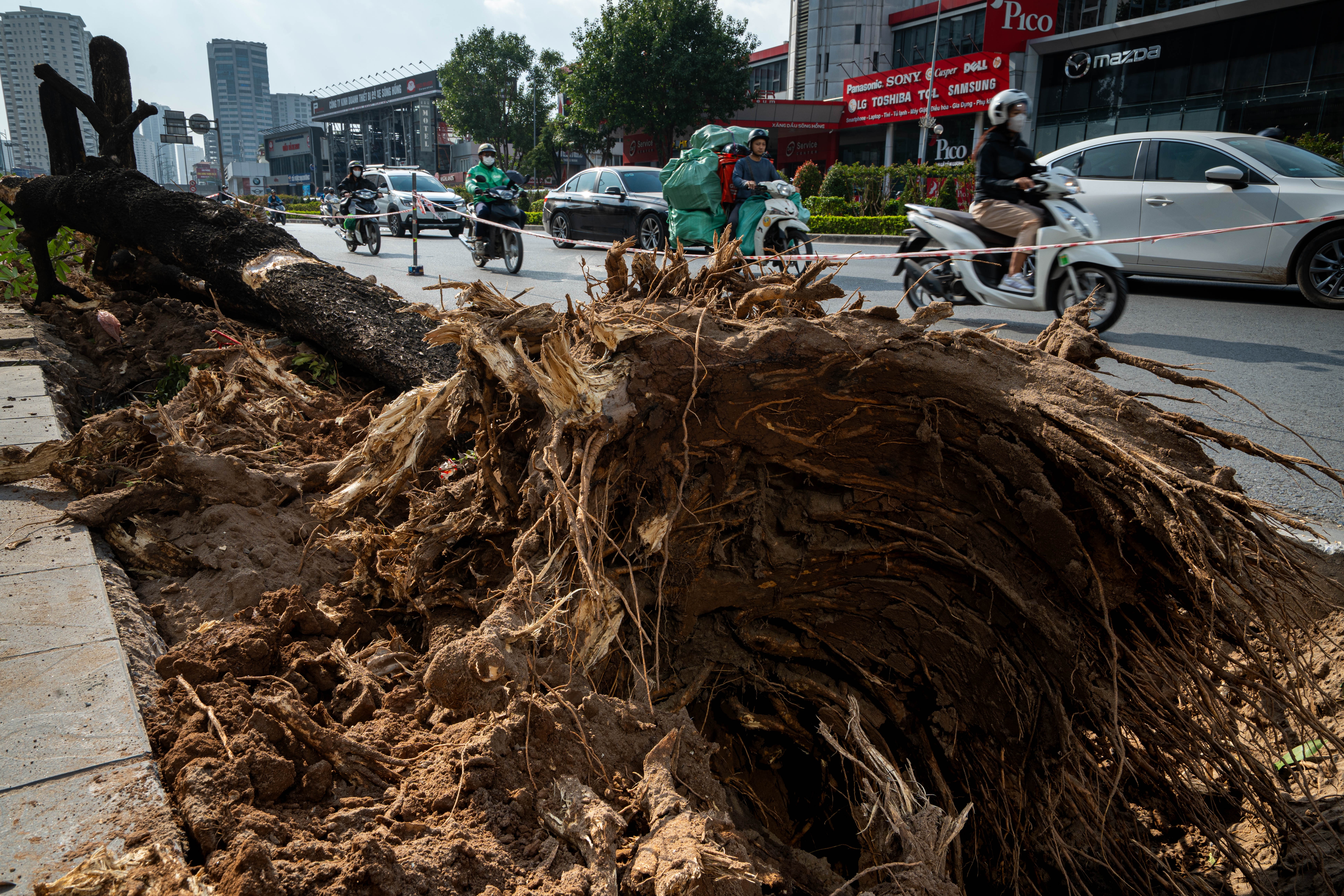 Xén vỉa hè ảnh 6 Xen via he anh 6