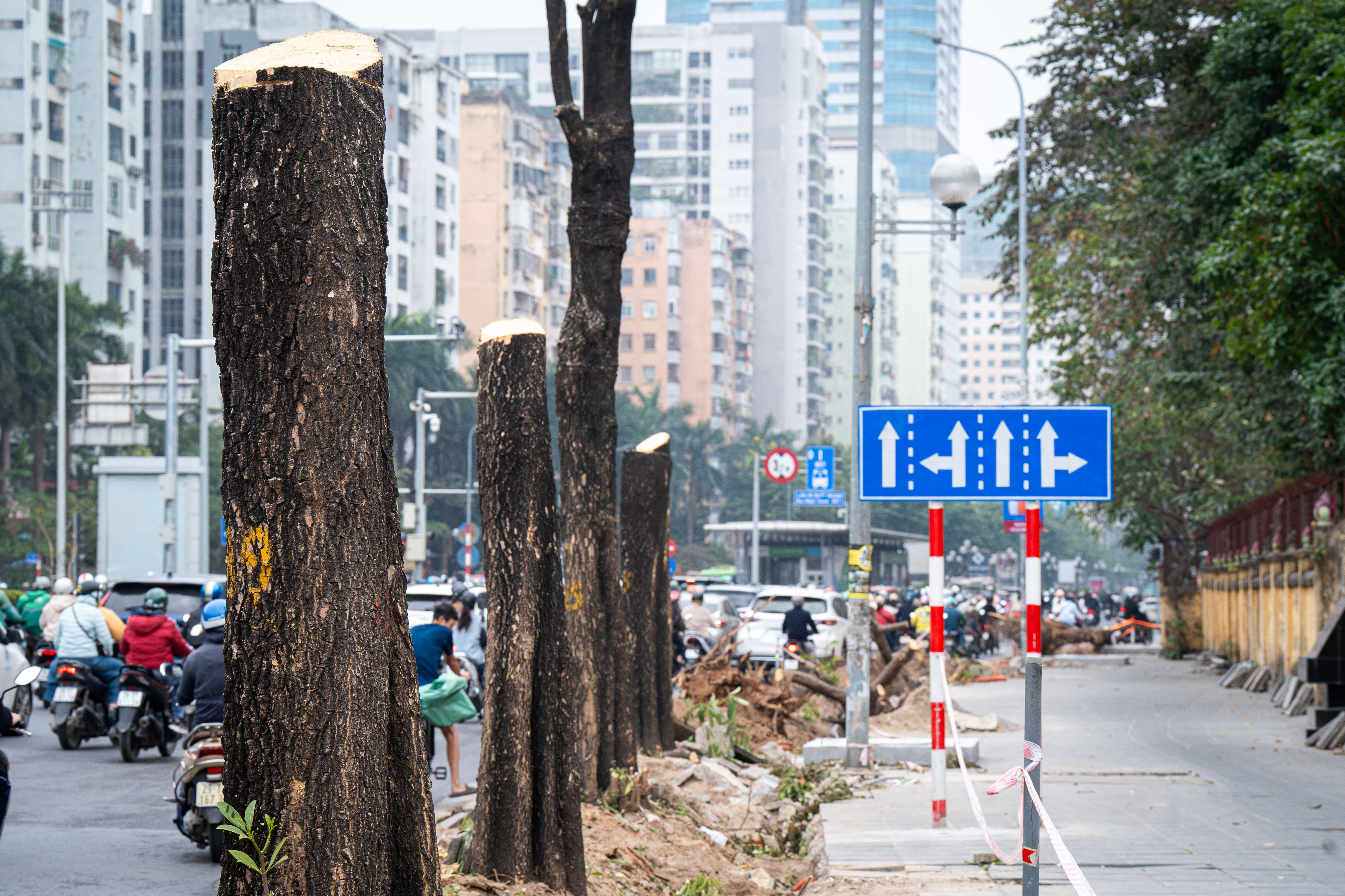 Xén vỉa hè ảnh 7 Xen via he anh 7