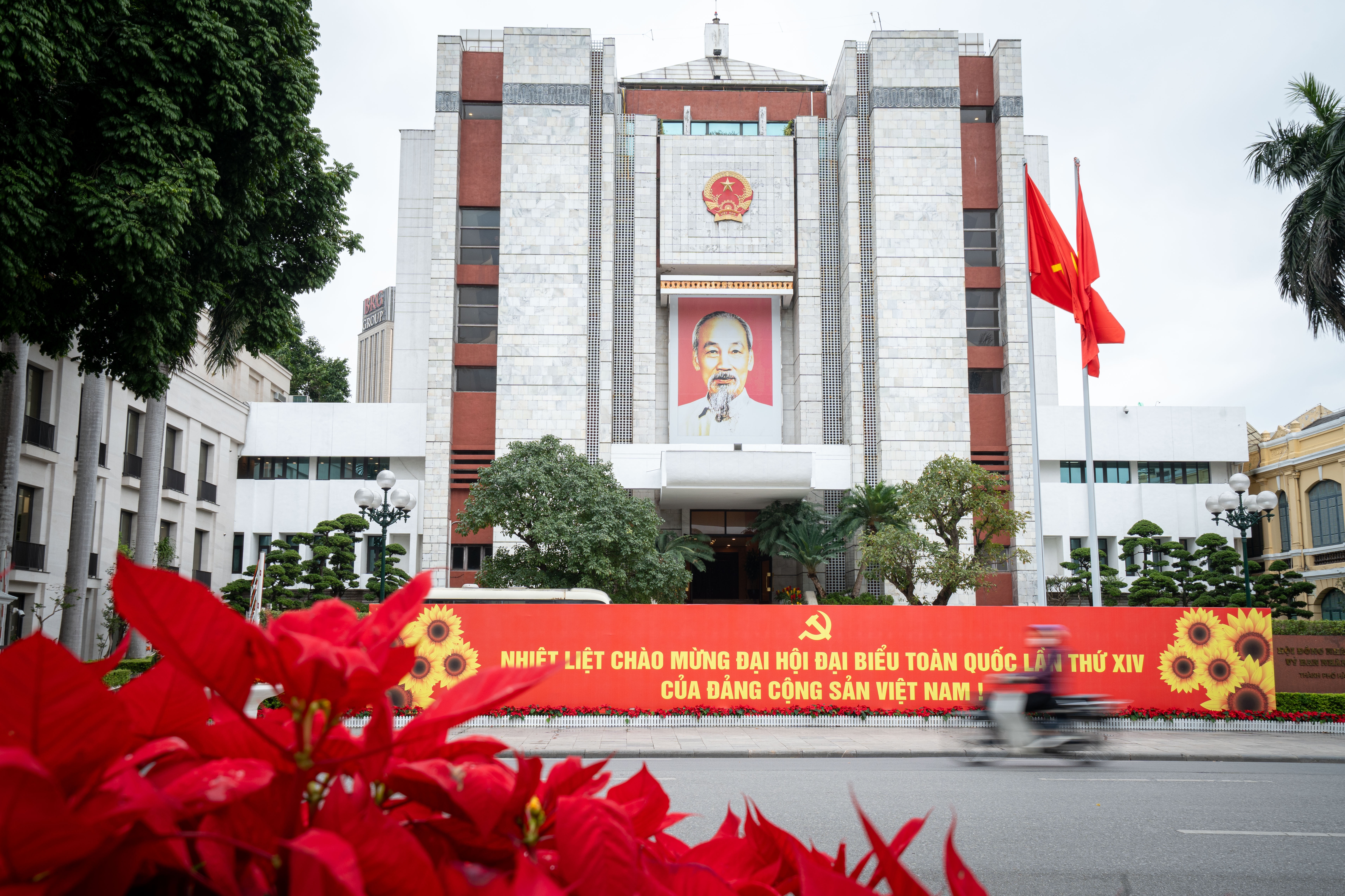 Ha Noi ruc ro co hoa chao mung Dai hoi XIV cua Dang hinh anh
