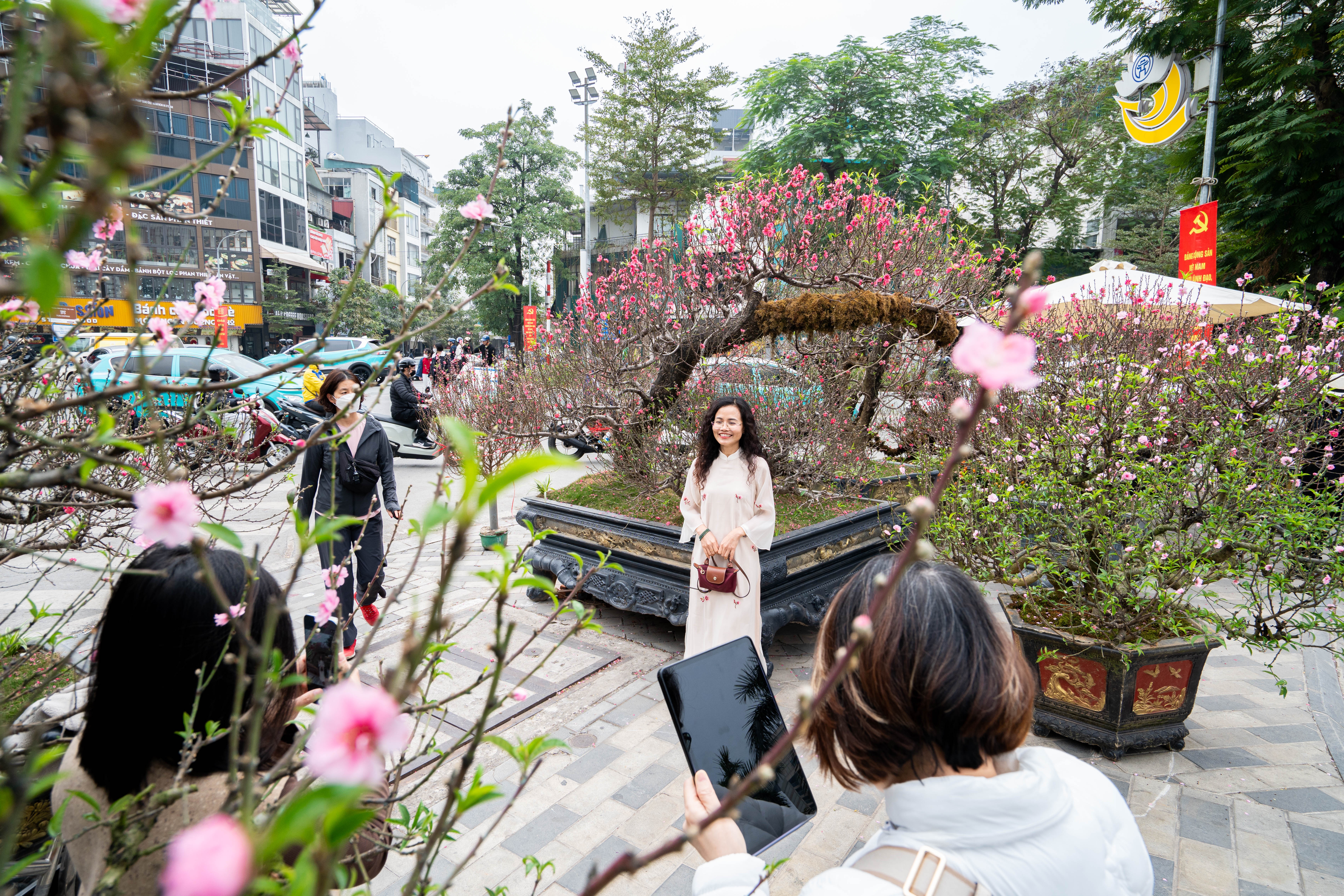 Dao co Ngu Phuc Quan Thu gia thue 120 trieu o cho hoa Tet hinh anh