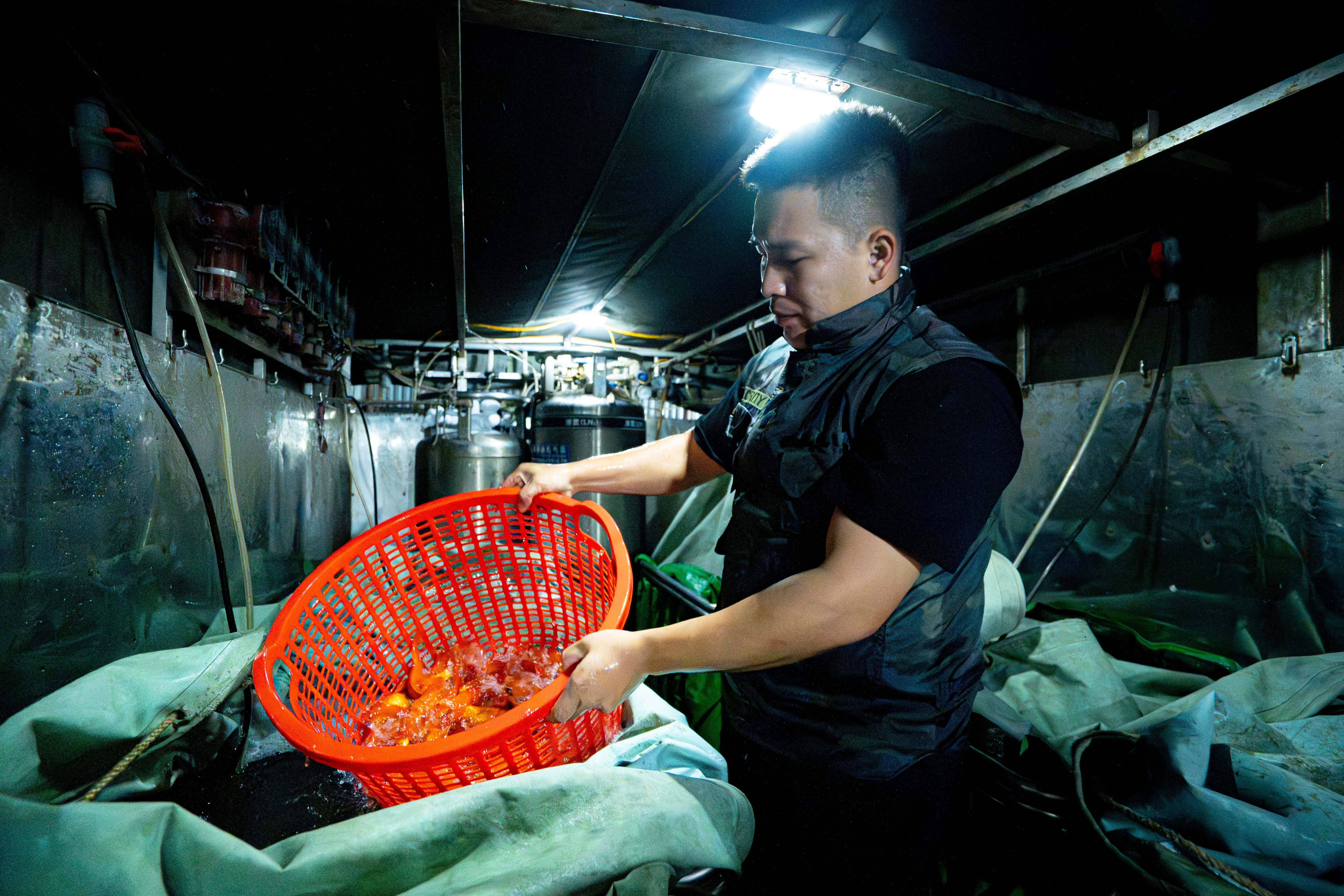 ong cong ong tao anh 4