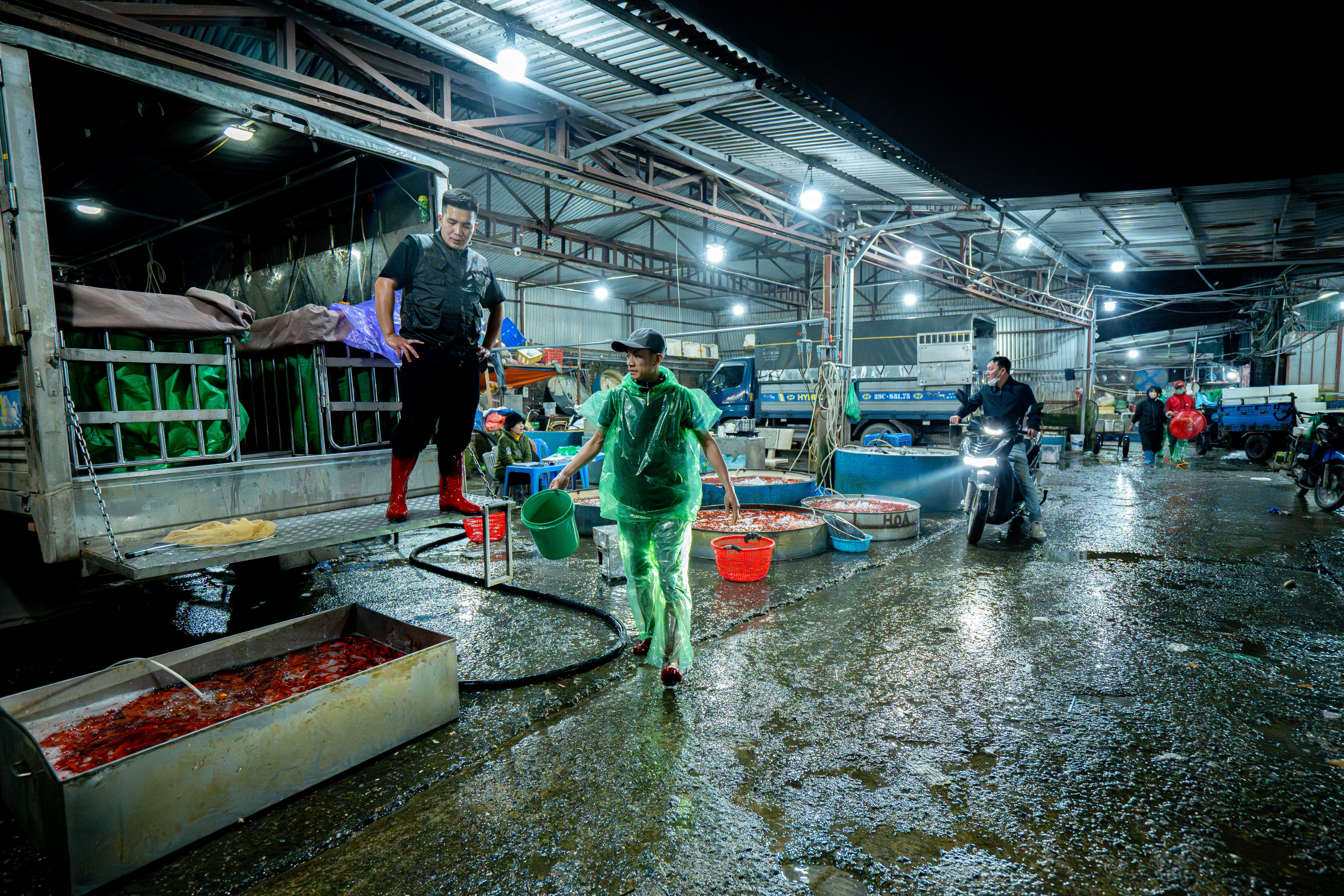 ong cong ong tao anh 1