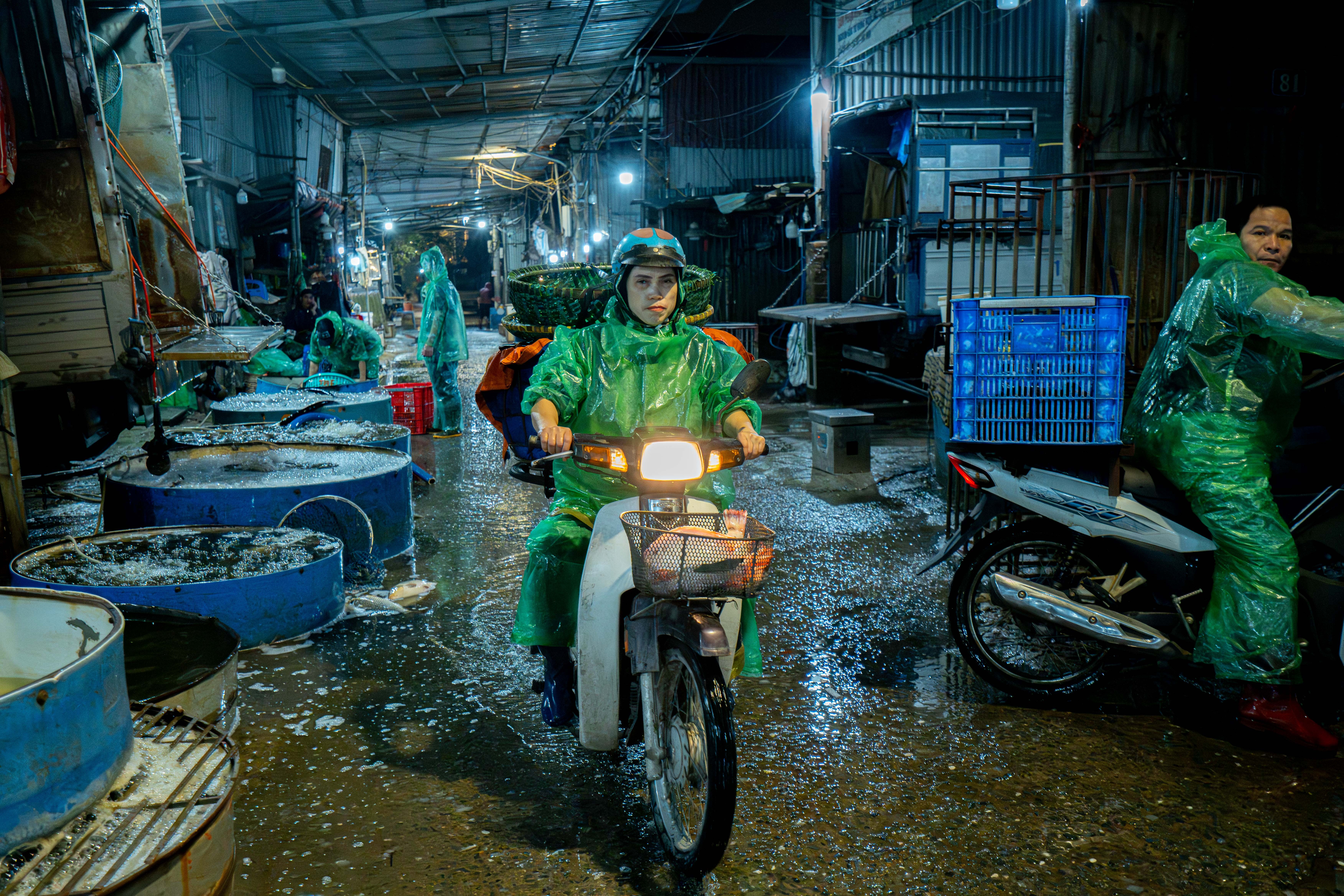 ong cong ong tao anh 14