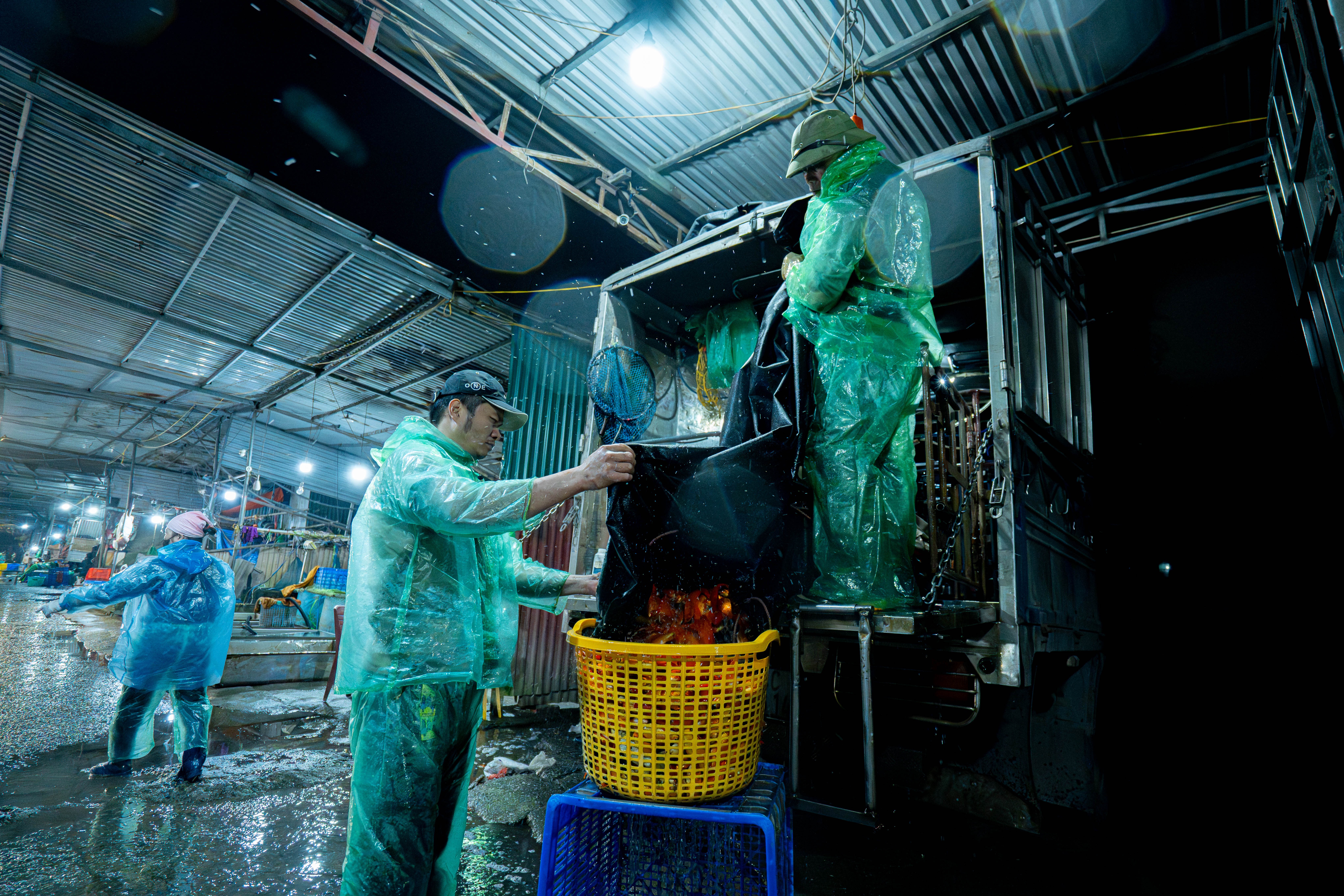 ong cong ong tao anh 5