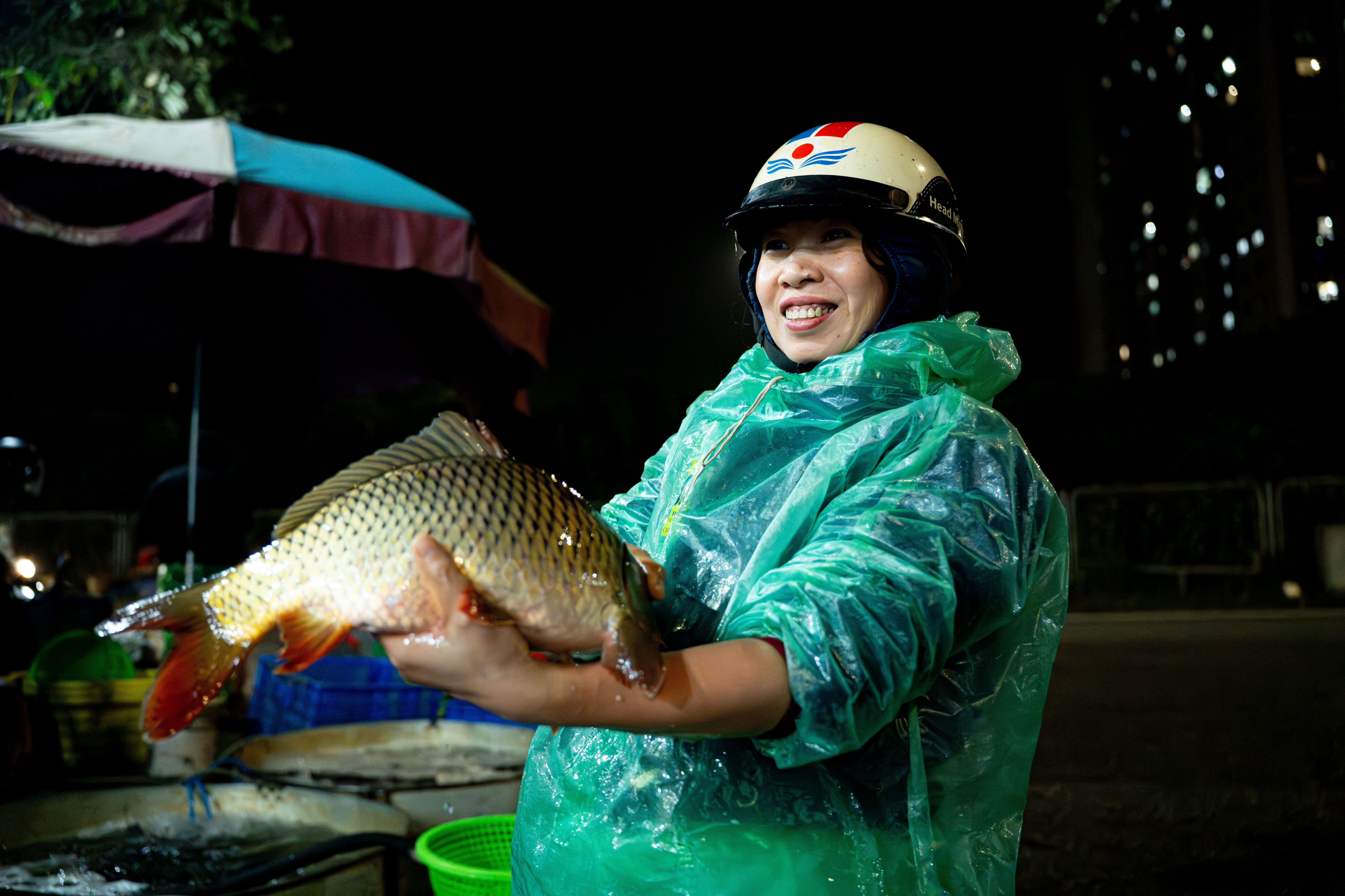 ong cong ong tao anh 10