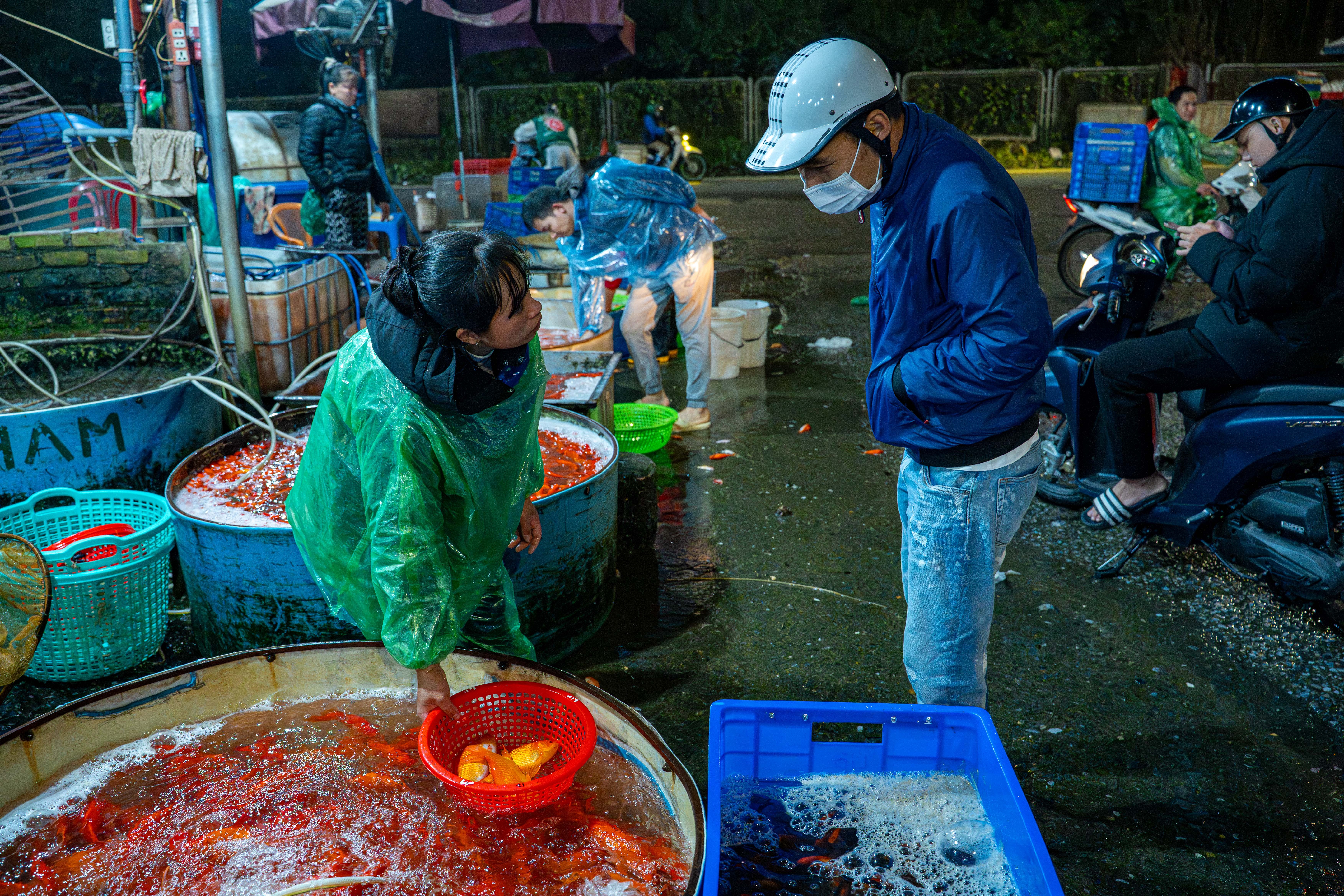 ong cong ong tao anh 3