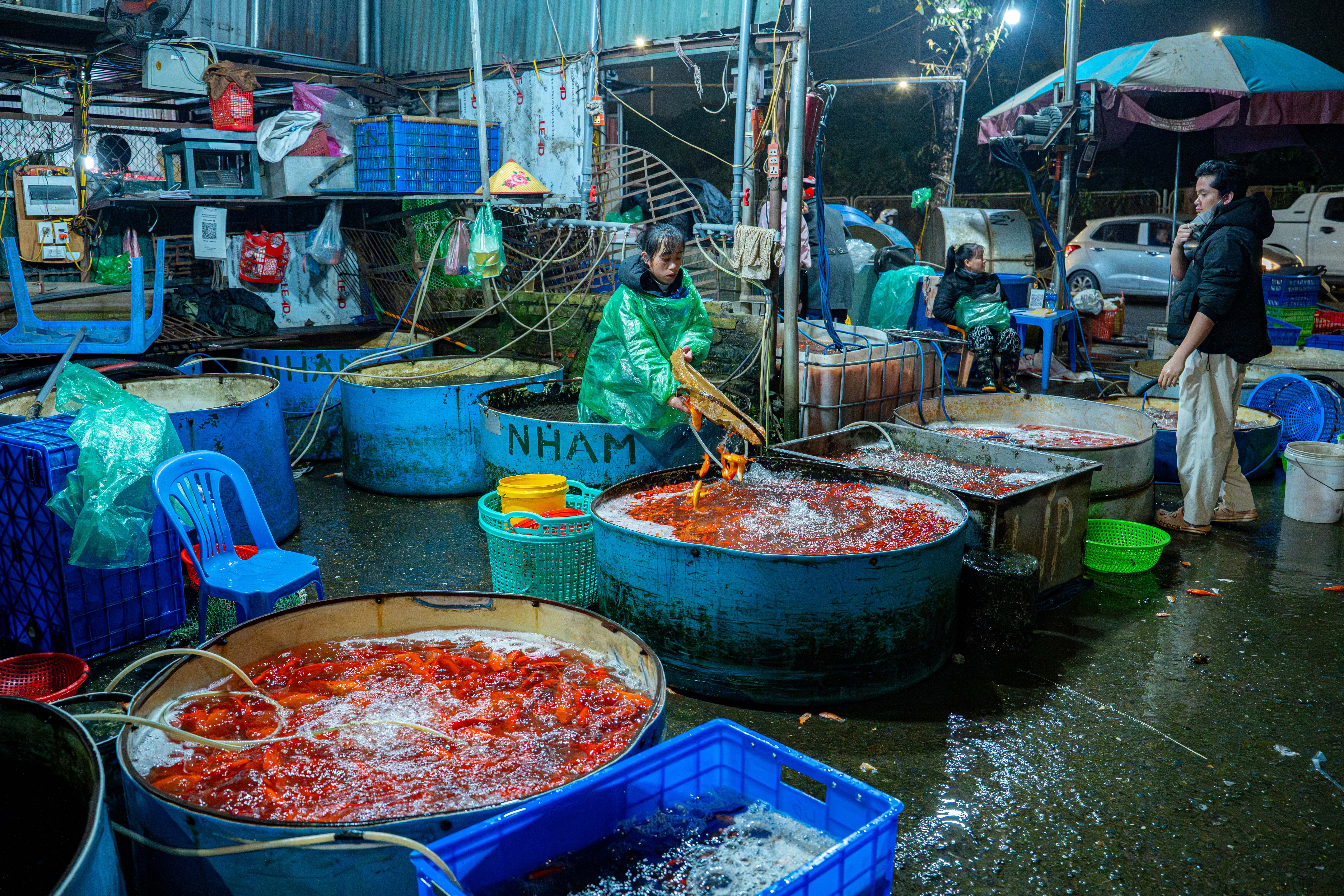 ong cong ong tao anh 11