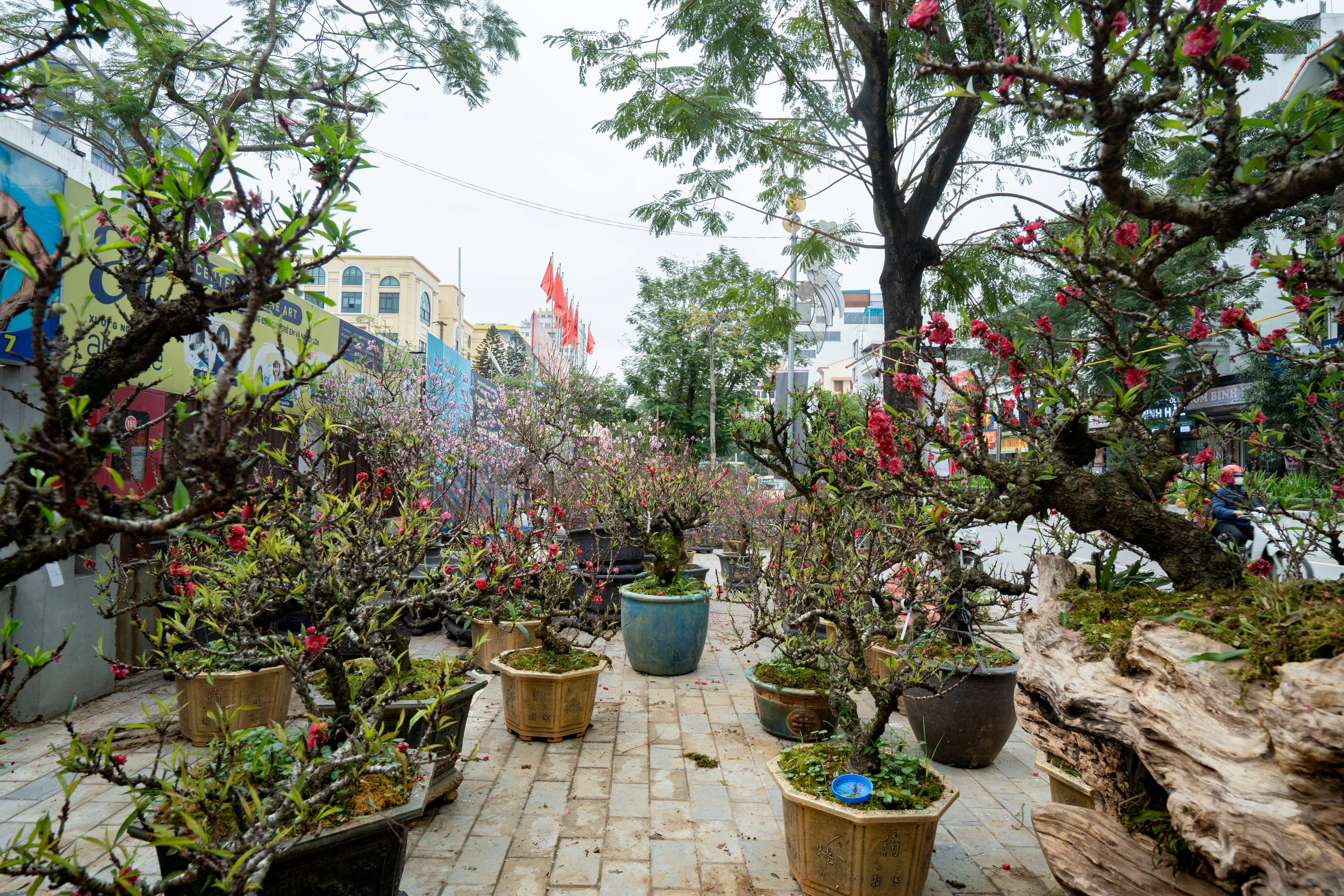 Dao That Thon anh 12