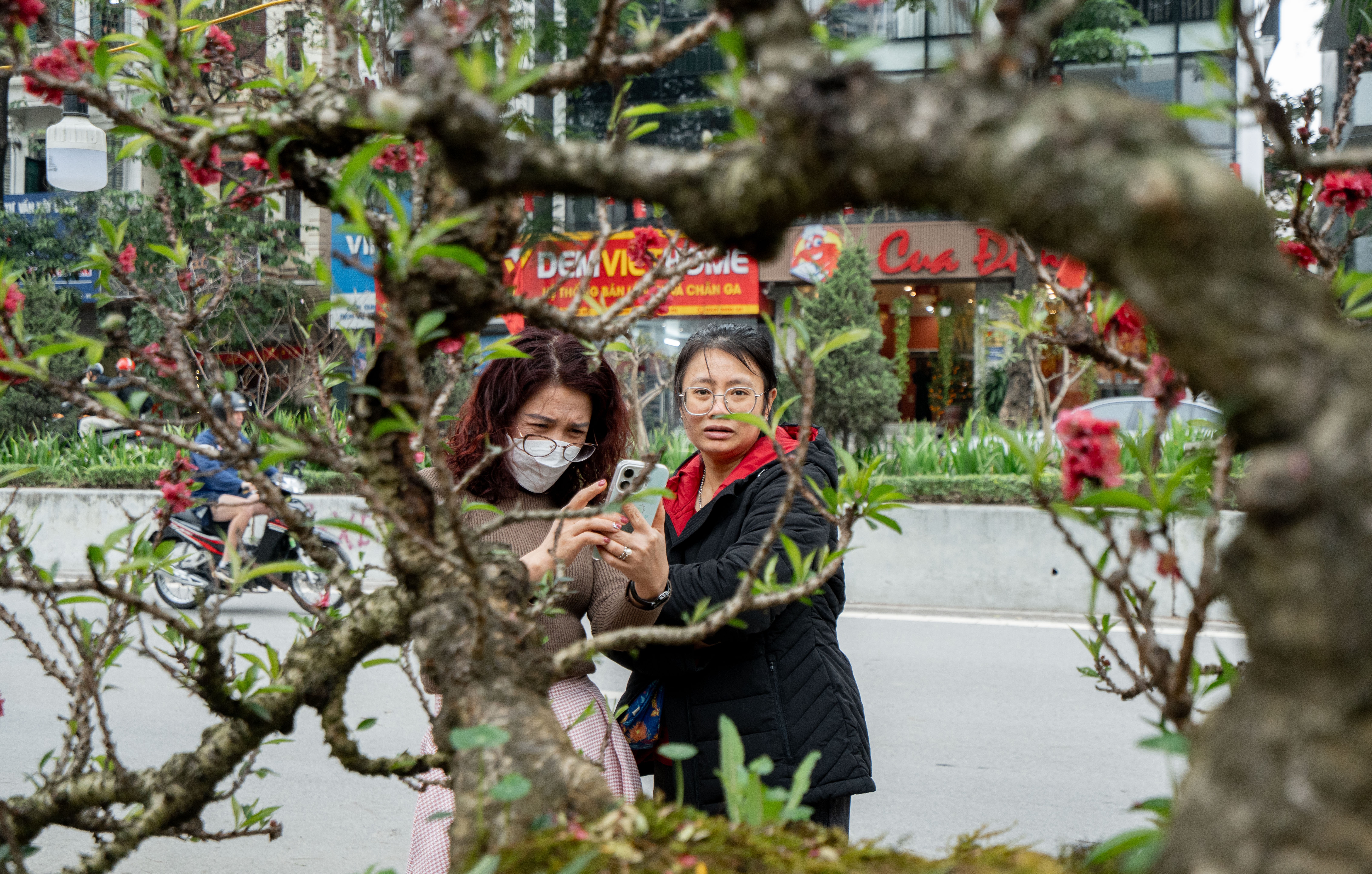 'Sieu pham' dao that thon tren go lua, gia thue da gan nua ty dong hinh anh