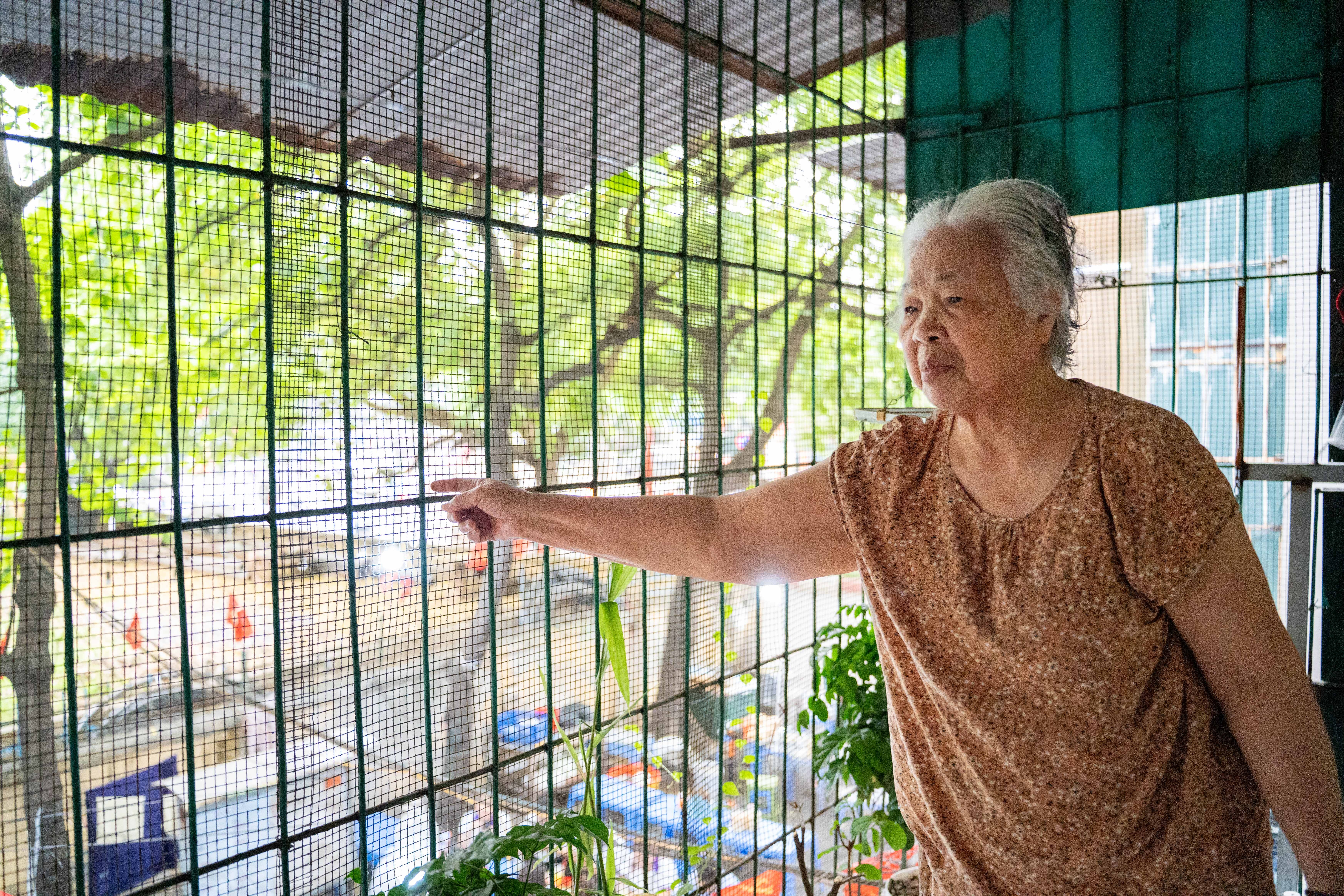 Cai tao,  Ha Noi,  Khu tap the,  Thanh Xuan Bac,  Do thi,  Ha tang anh 9