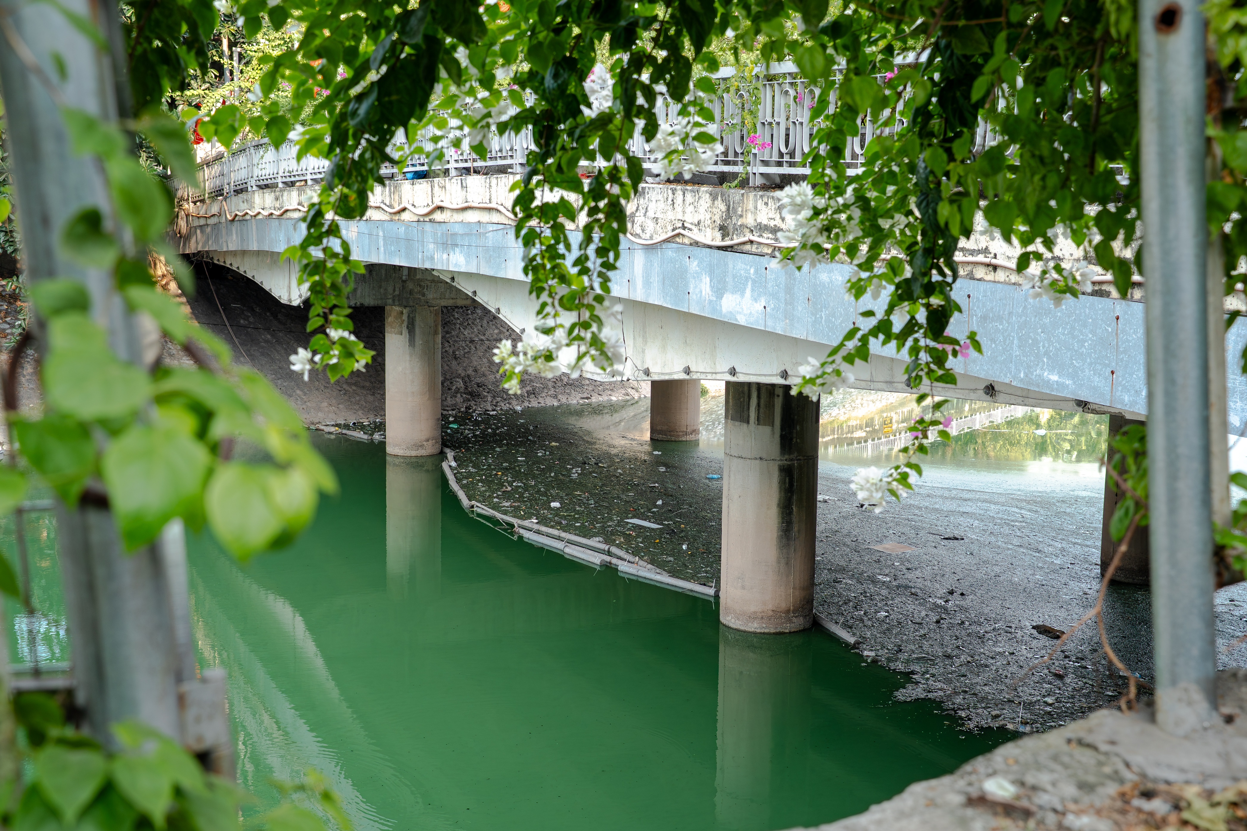 S&ocirc;ng T&ocirc; Lịch ảnh 2