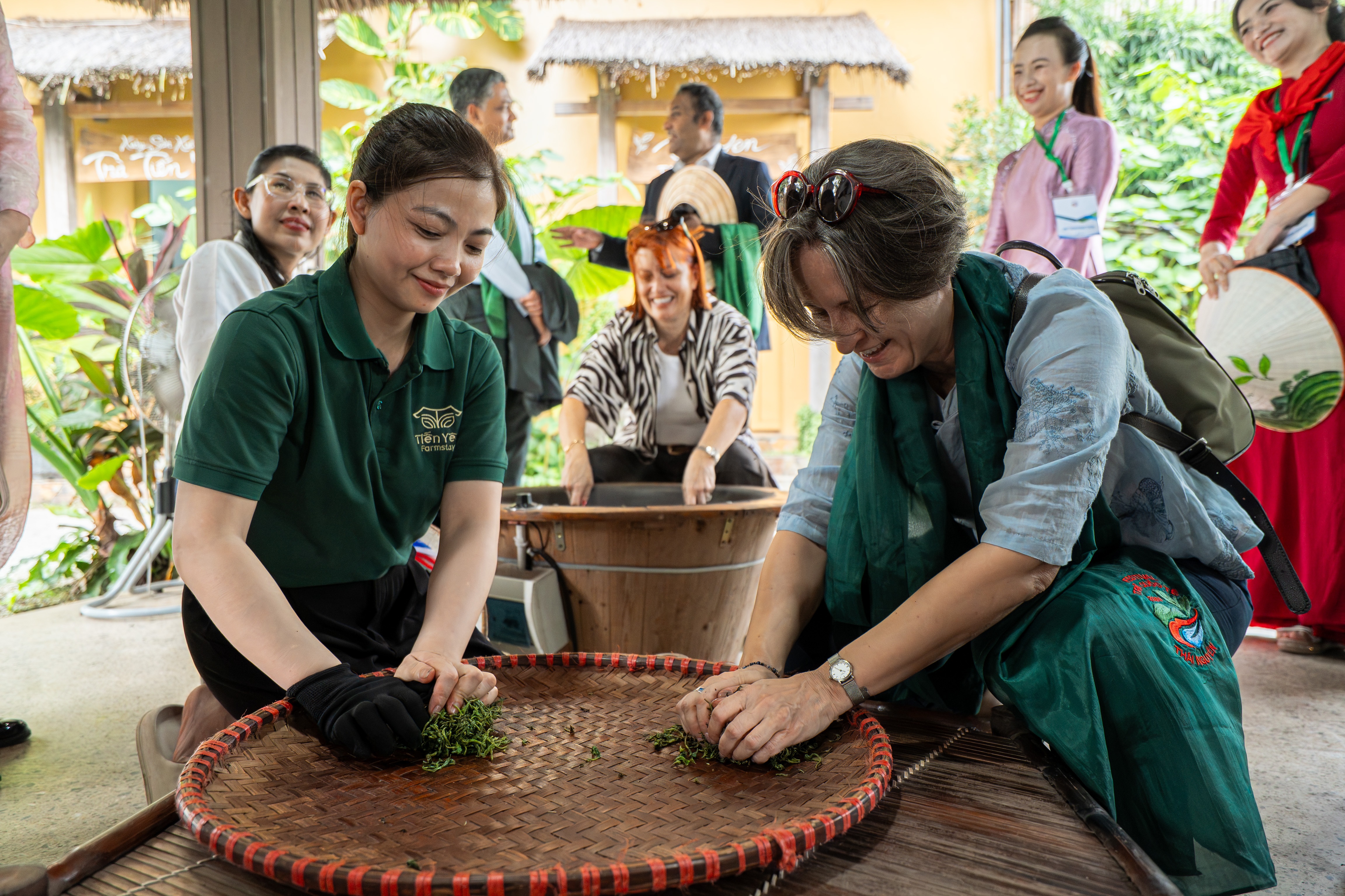Ch&egrave; Th&aacute;i Nguy&ecirc;n,  Tr&agrave; quốc tế,  Festival,  Đại sứ qu&aacute;n,  Th&aacute;i Nguy&ecirc;n ảnh 5