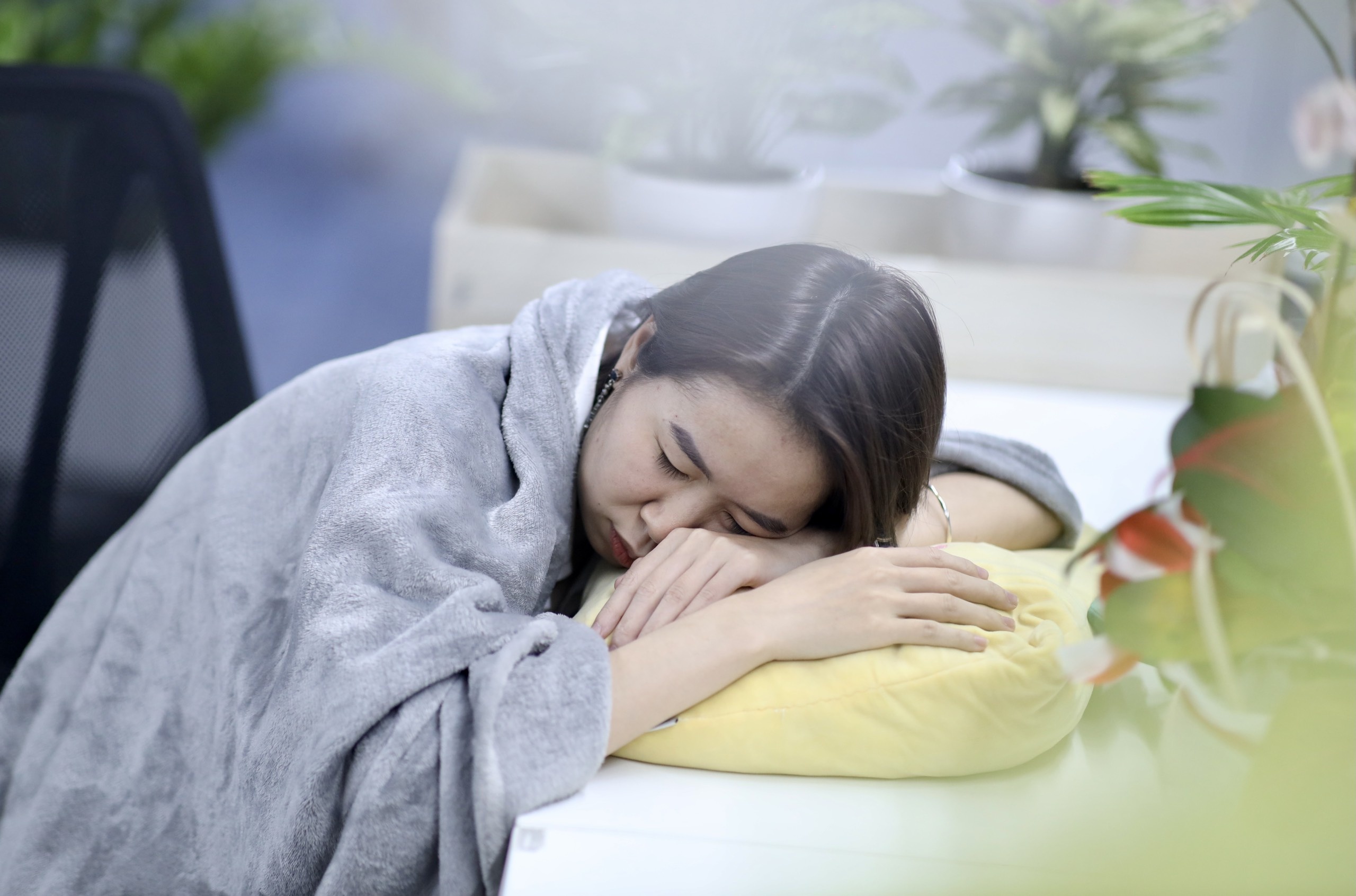 ngu trua cong so anh 1