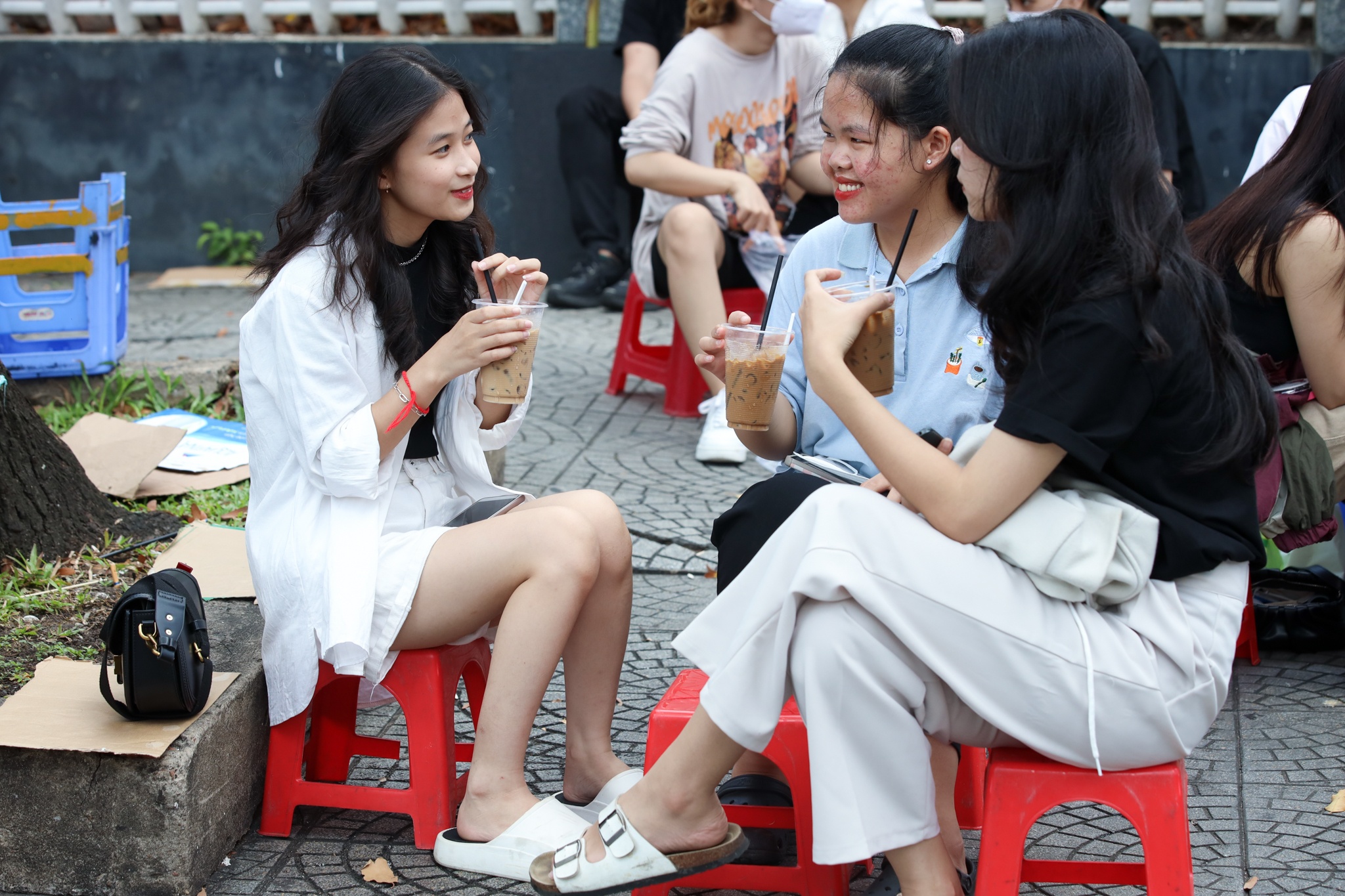 ngu trua cong so anh 5